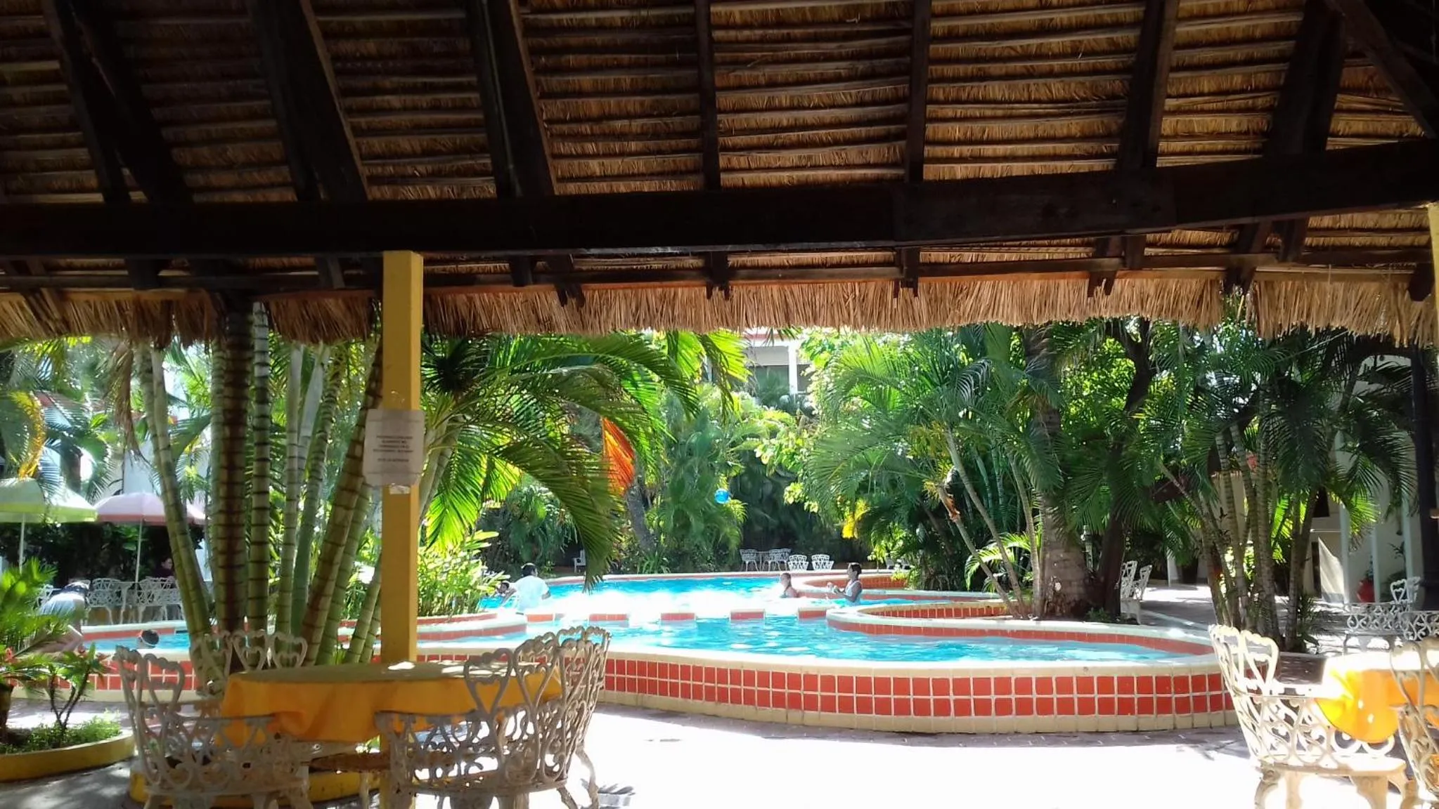 Area and facilities, Swimming Pool in Hotel Playa Azul
