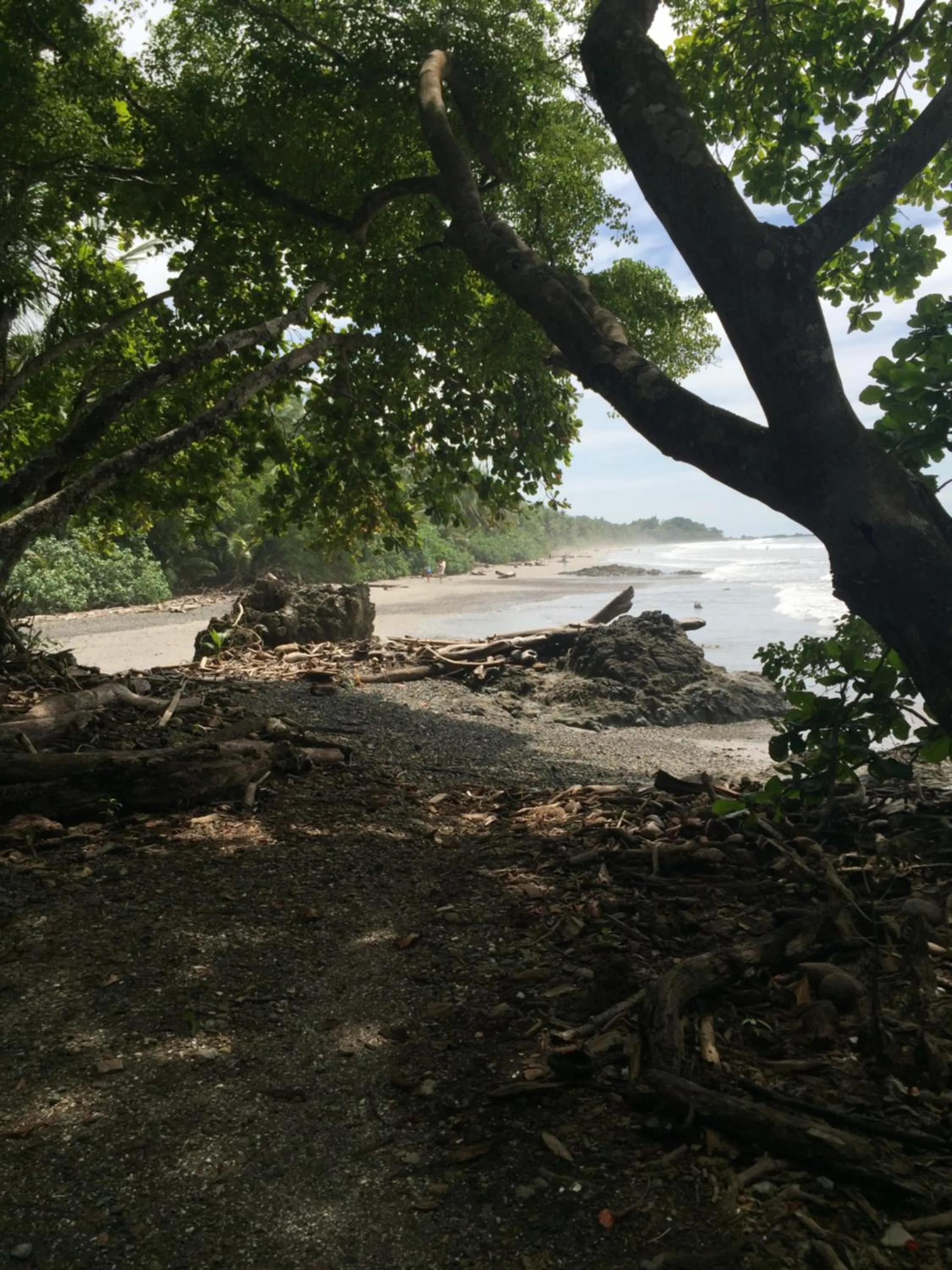 Natural landscape in Hotel Nya