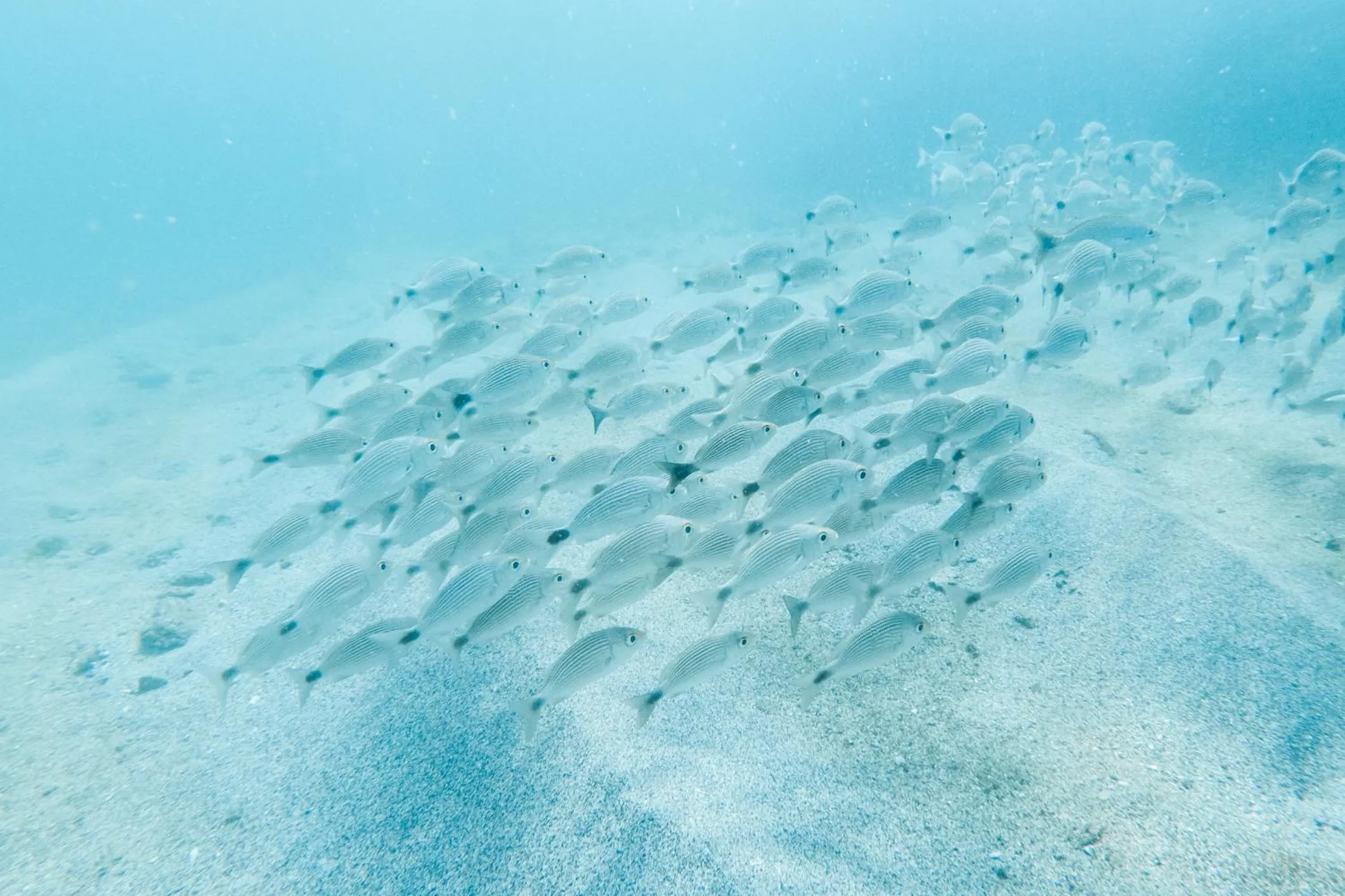 Natural landscape in Hotel Nya