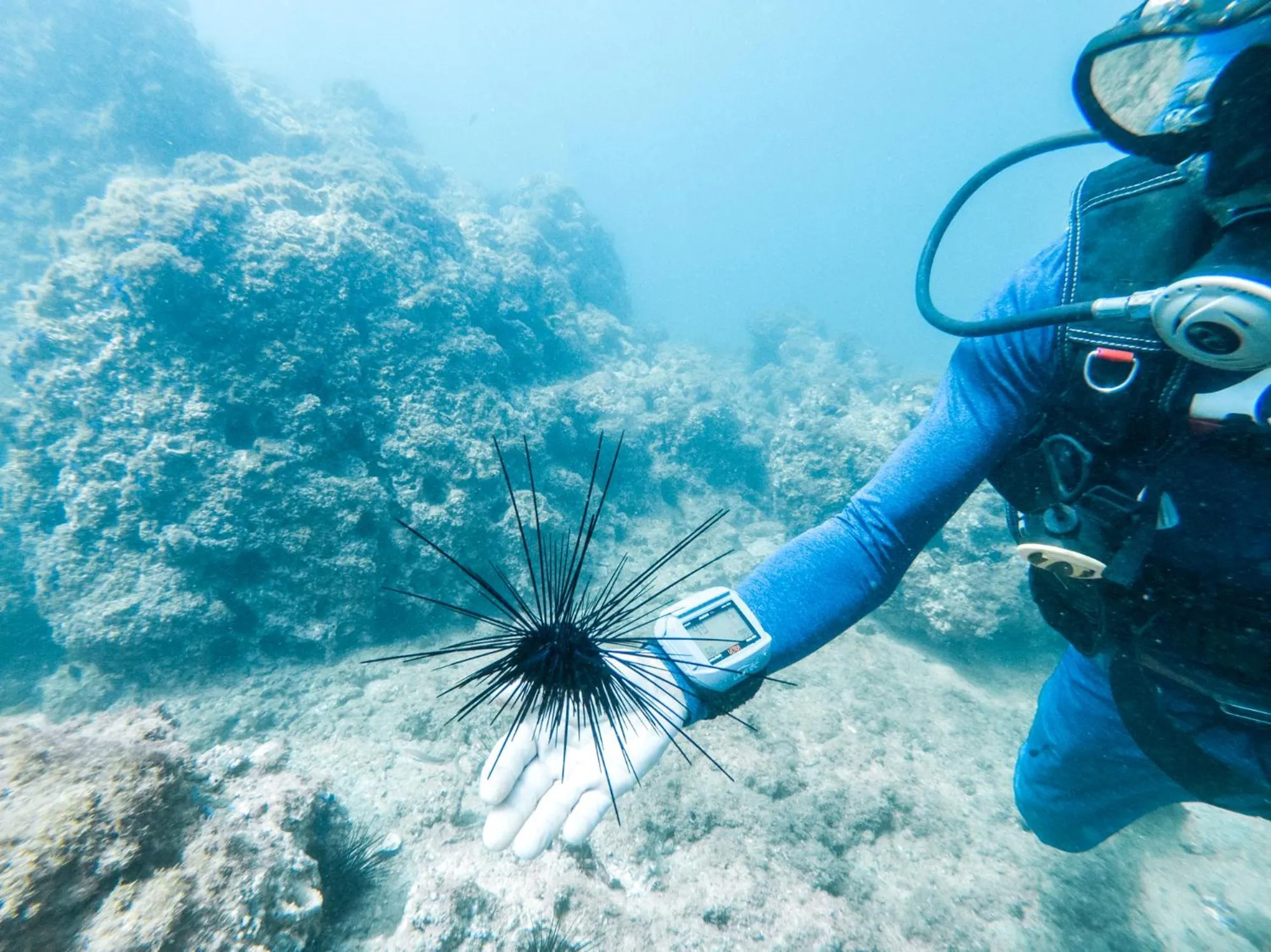 Activities in Hotel Nya