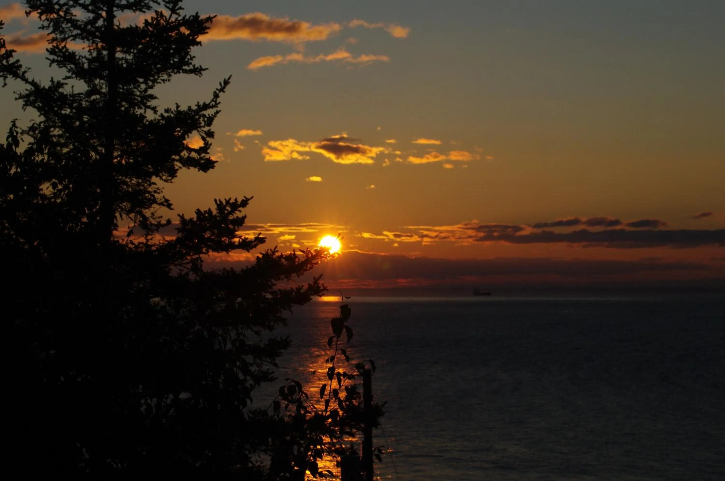 View (from property/room) in Auberge des Eaux Vives