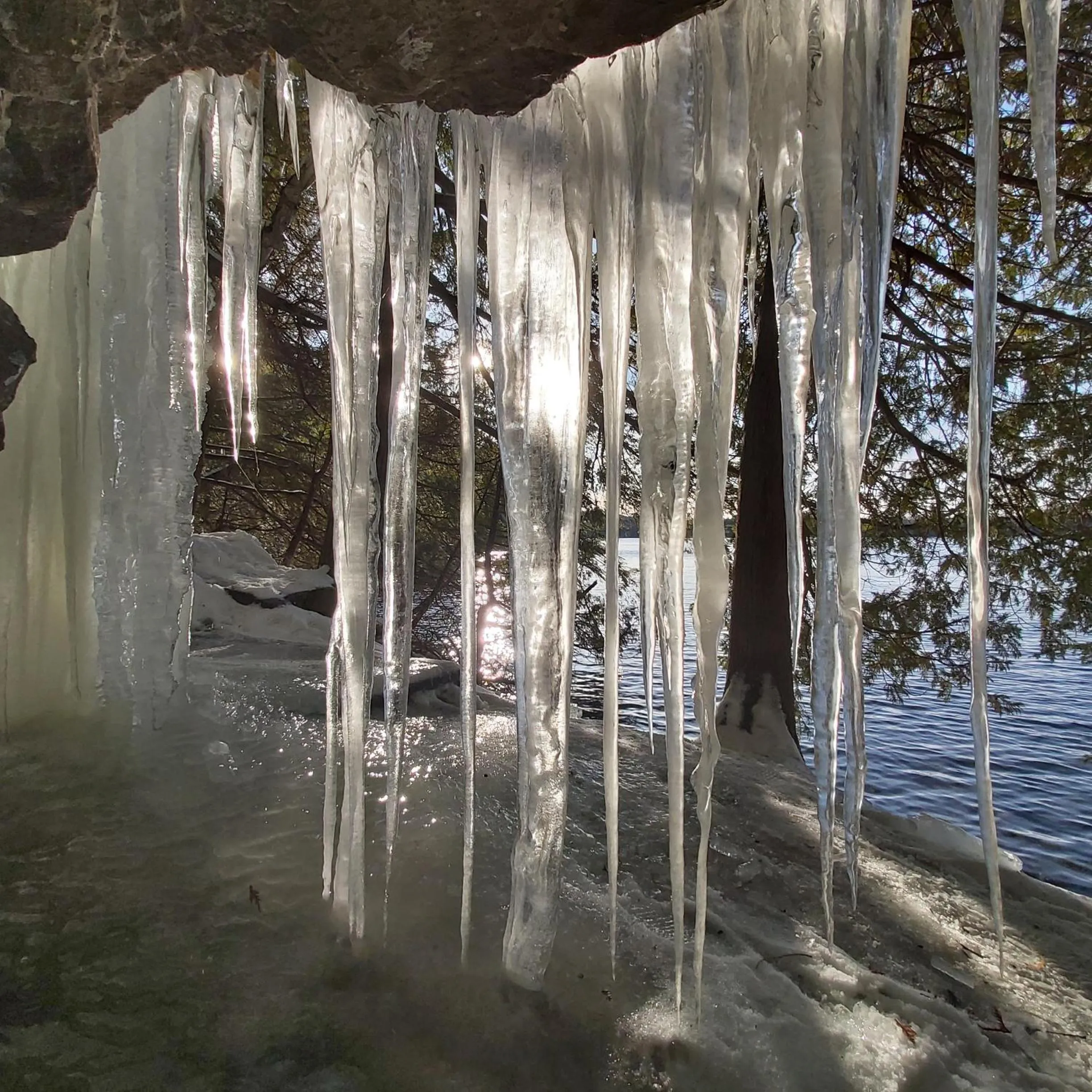 Natural landscape in Blue Spruce Bed and Breakfast Muskoka