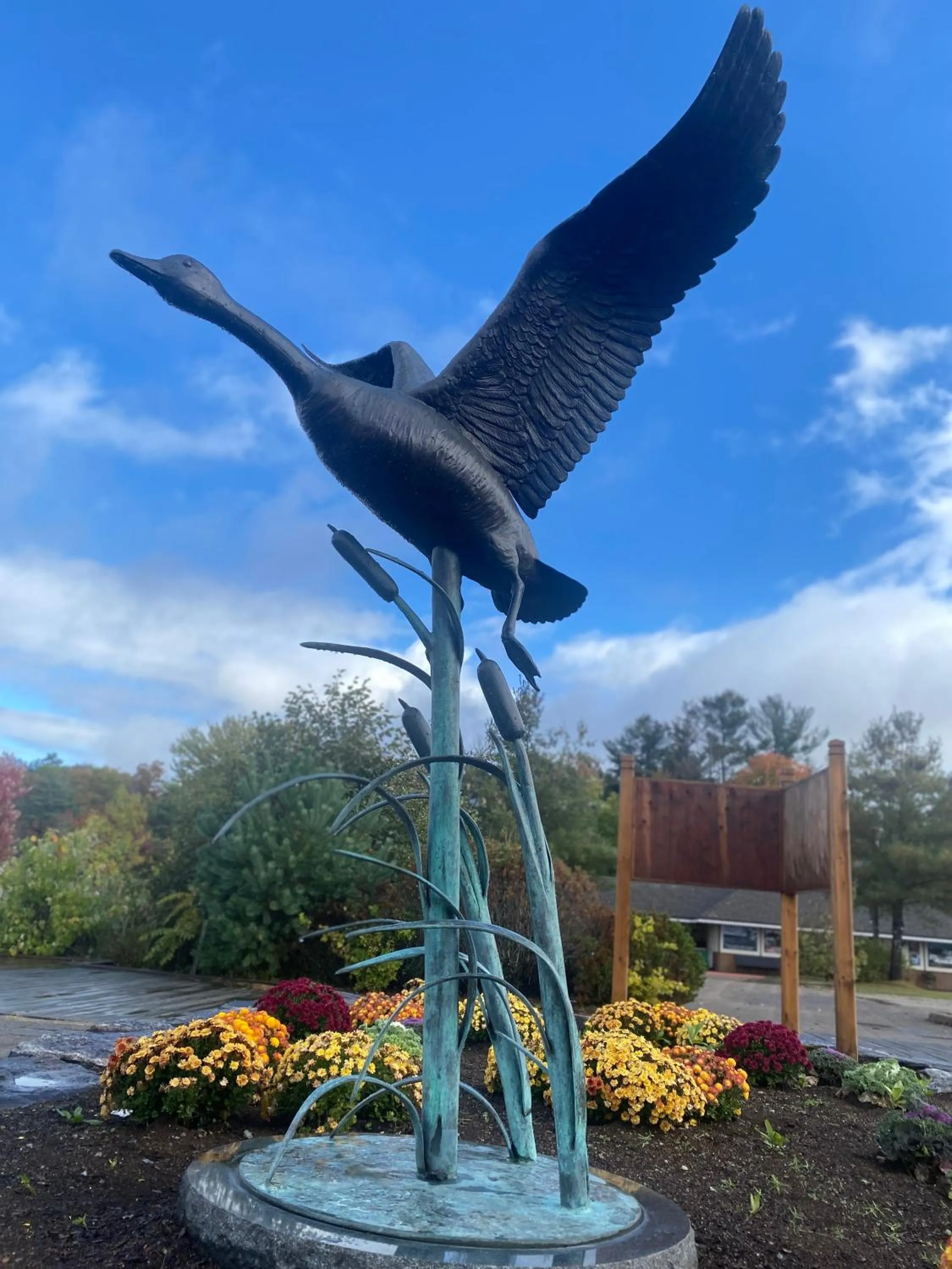 Nearby landmark in Blue Spruce Bed and Breakfast Muskoka