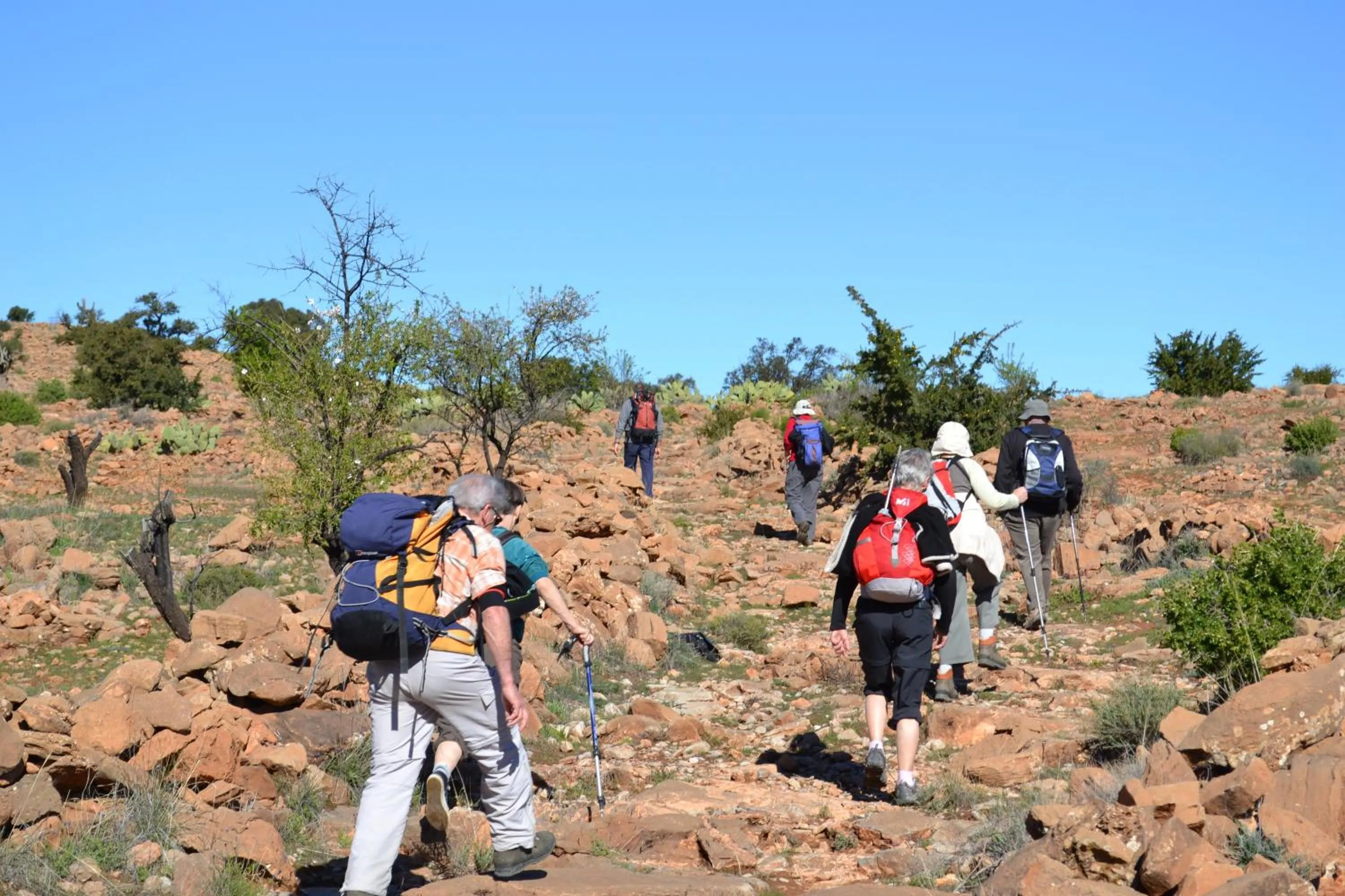 Other in Tizourgane Kasbah