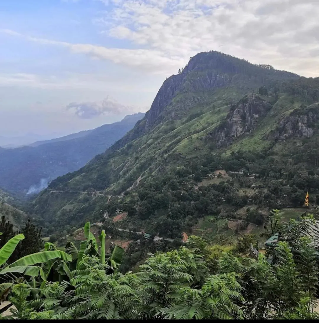 View (from property/room) in Two Rock Vista
