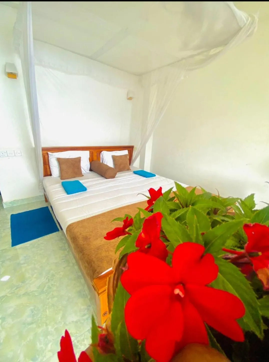 Bed in Two Rock Vista