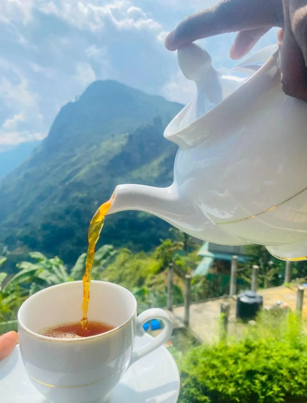 Natural landscape in Two Rock Vista