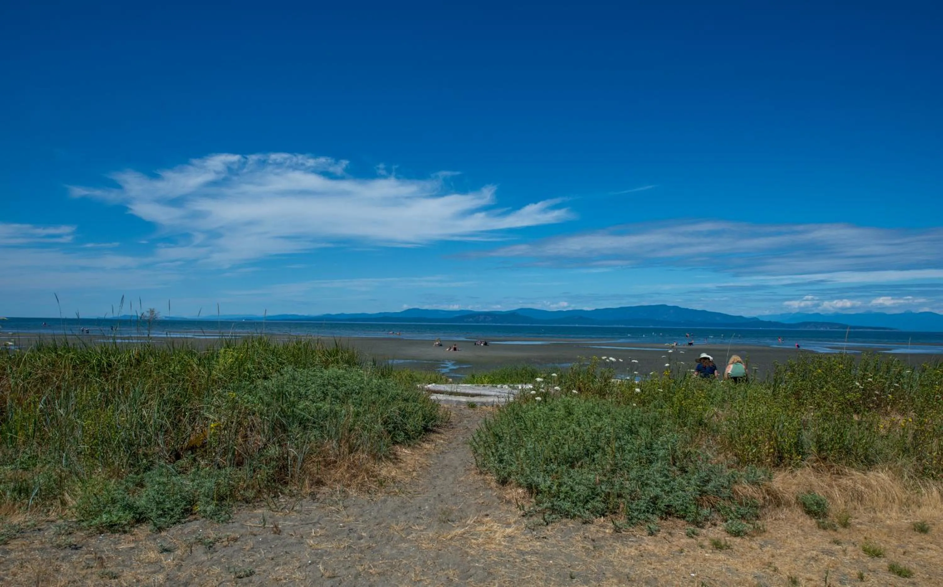 Beach in Sea Edge Beachside Hotel