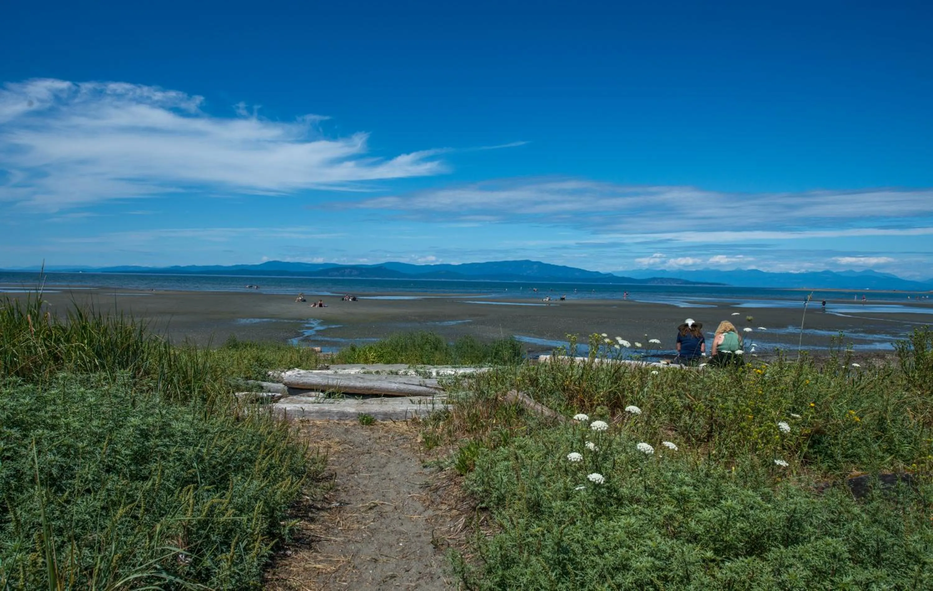 Beach in Sea Edge Beachside Hotel