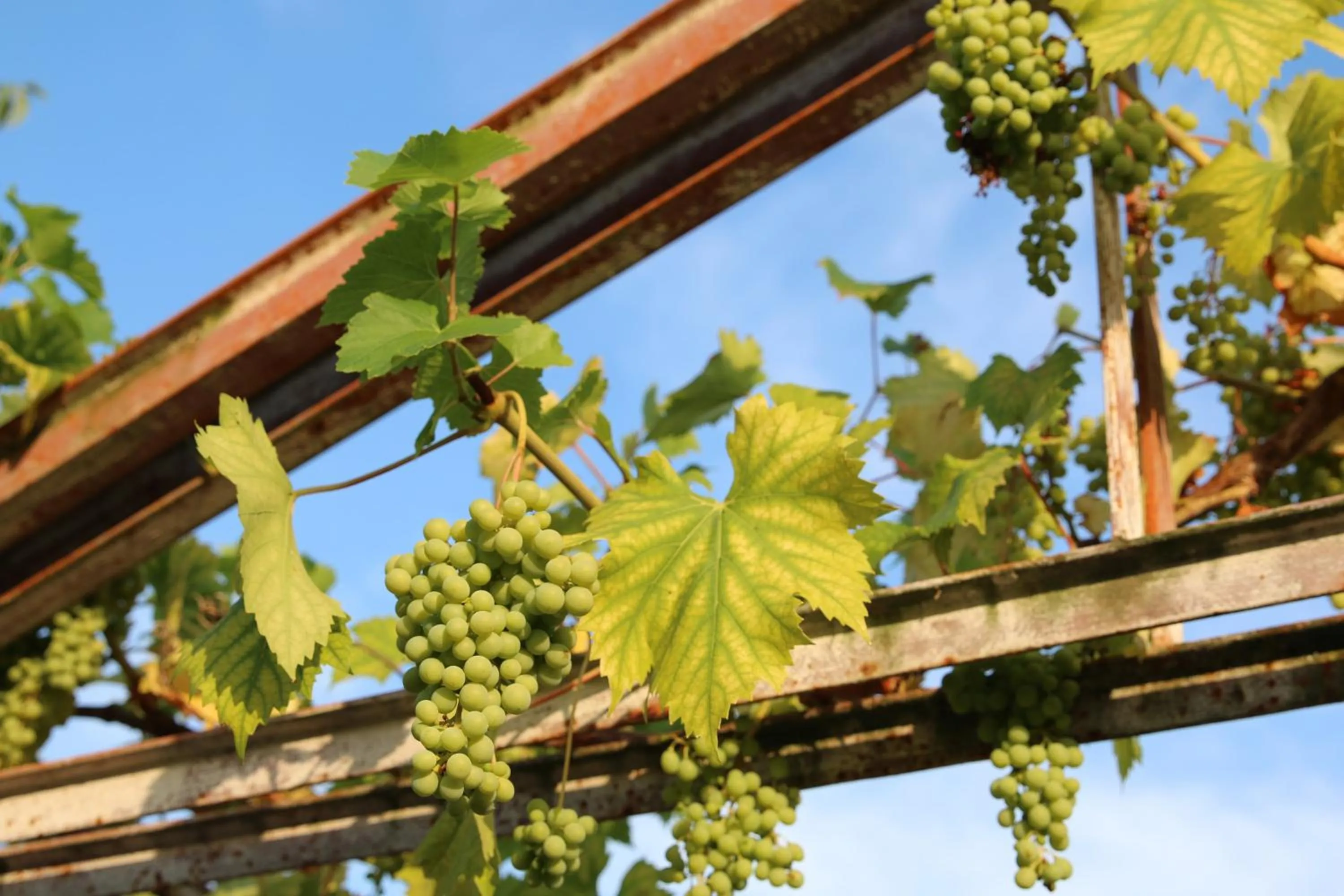 Property building in Natuurlijk Genieten