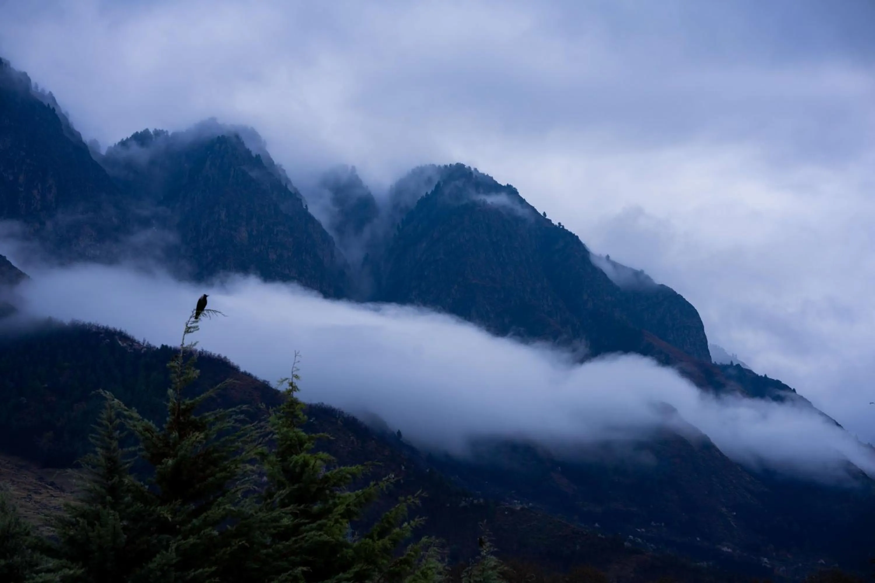 View (from property/room) in Zostel Srinagar