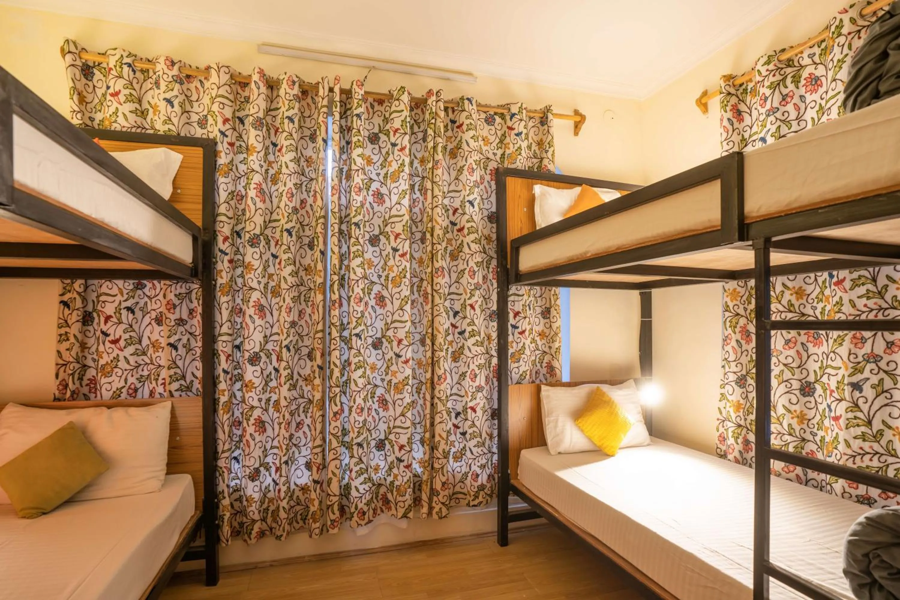 bunk bed, Bed in Zostel Srinagar