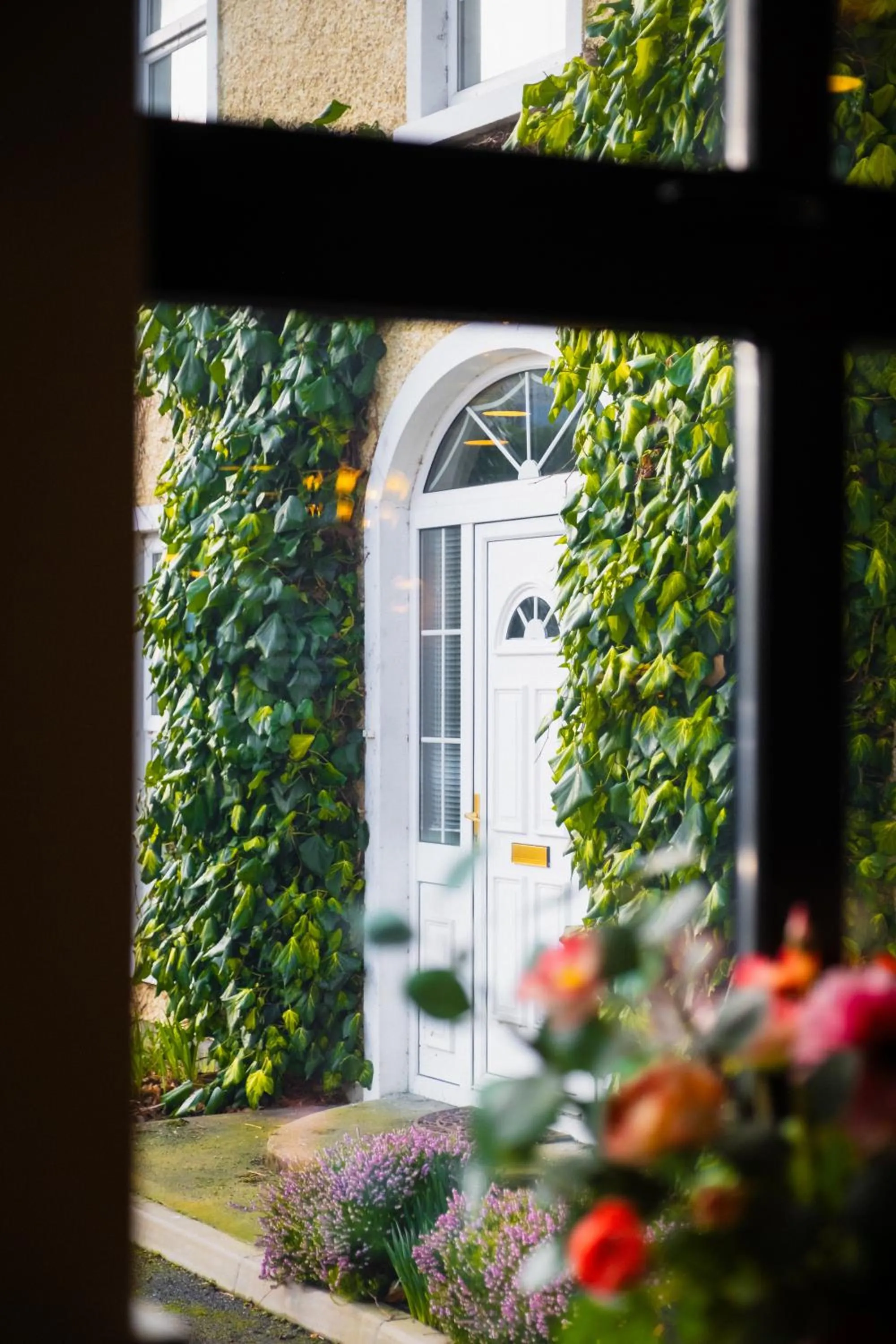 Garden view in Kilkenny House Boutique Hotel