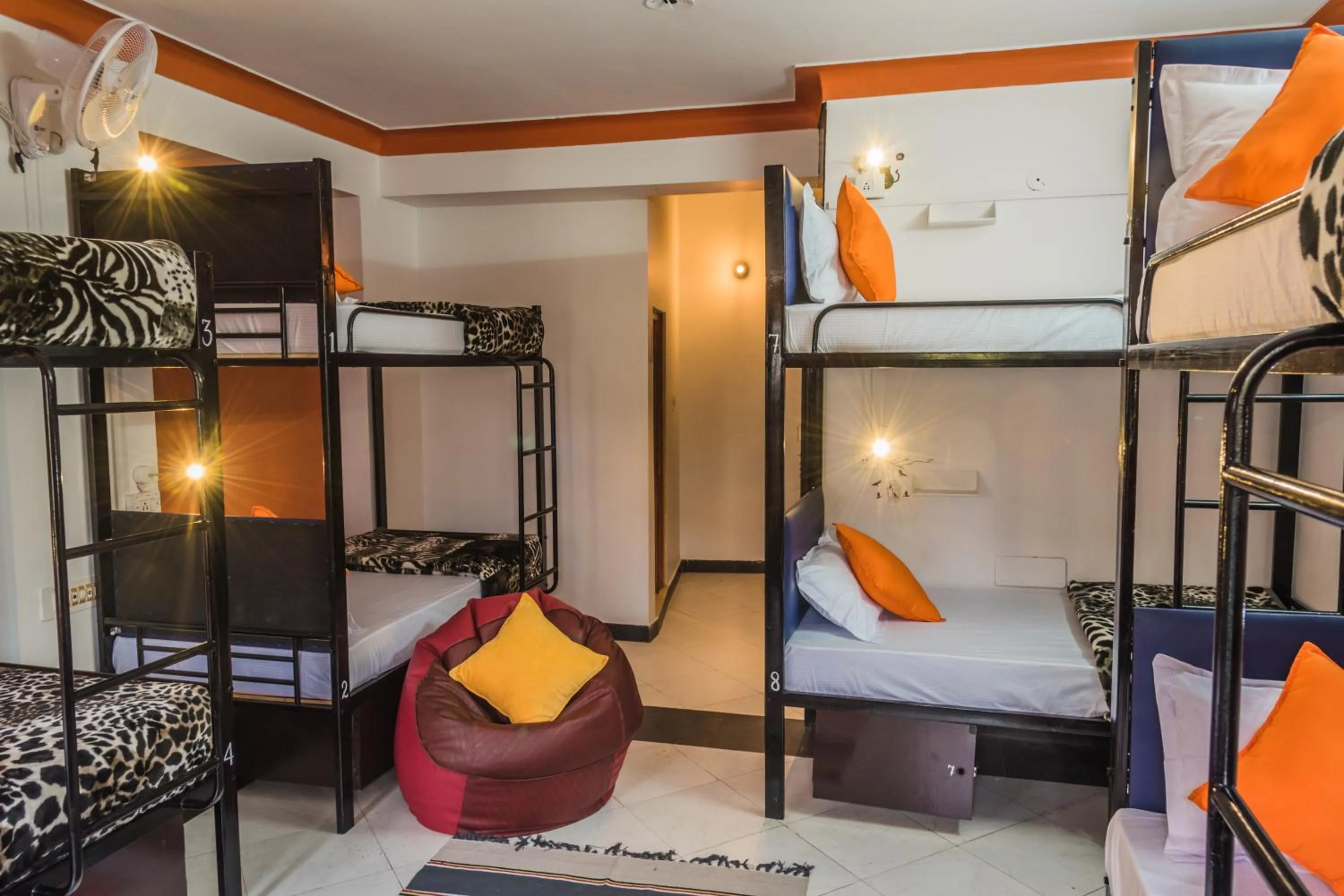 bunk bed, Bed in Zostel Jodhpur, Clock Tower