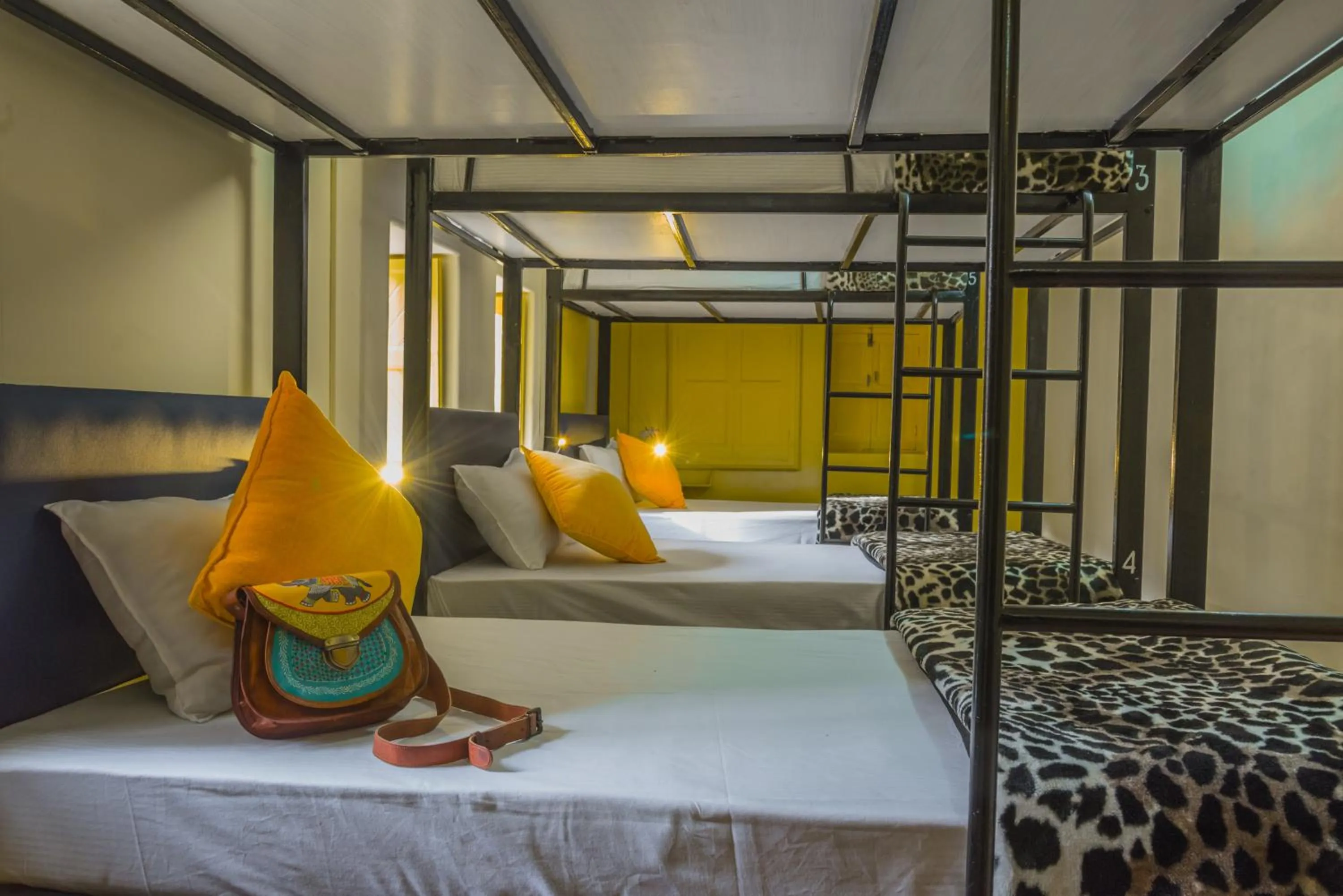 bunk bed, Bed in Zostel Jodhpur, Clock Tower