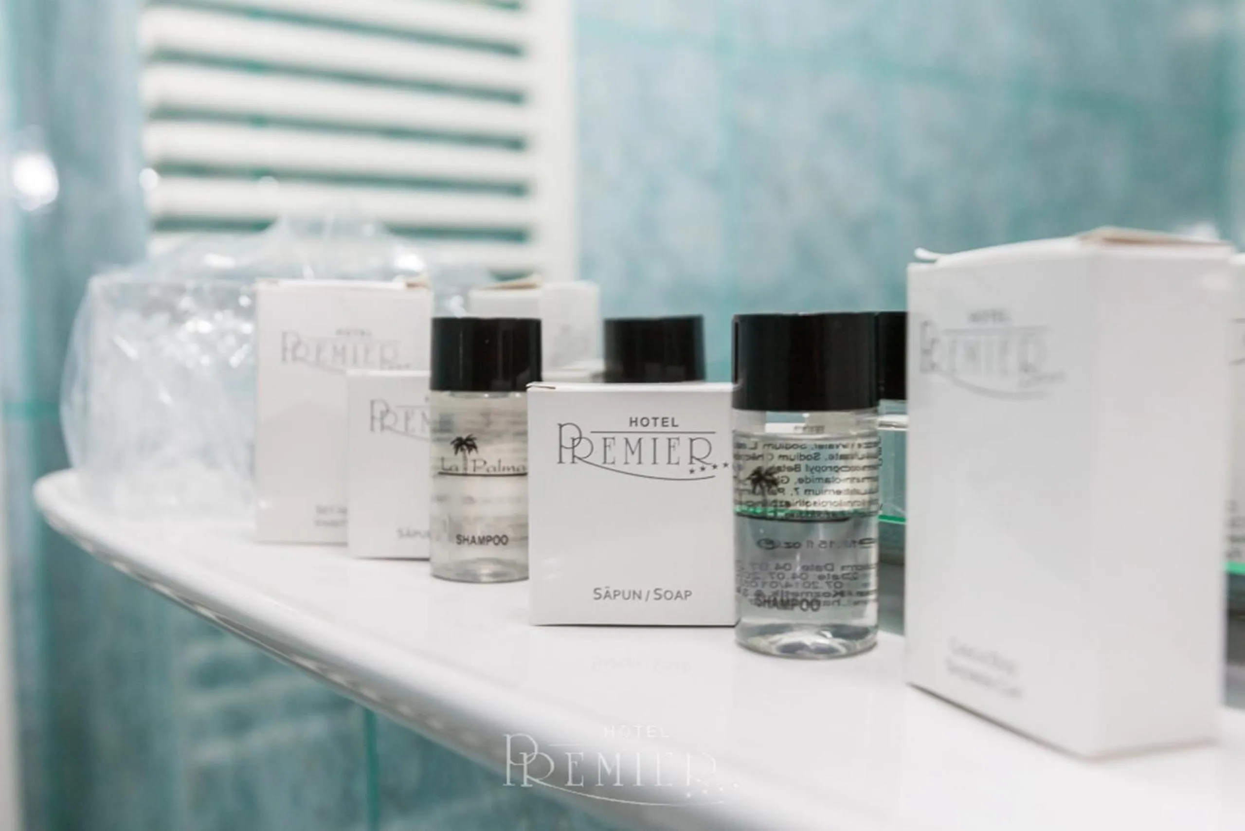 Bathroom in Hotel Premier