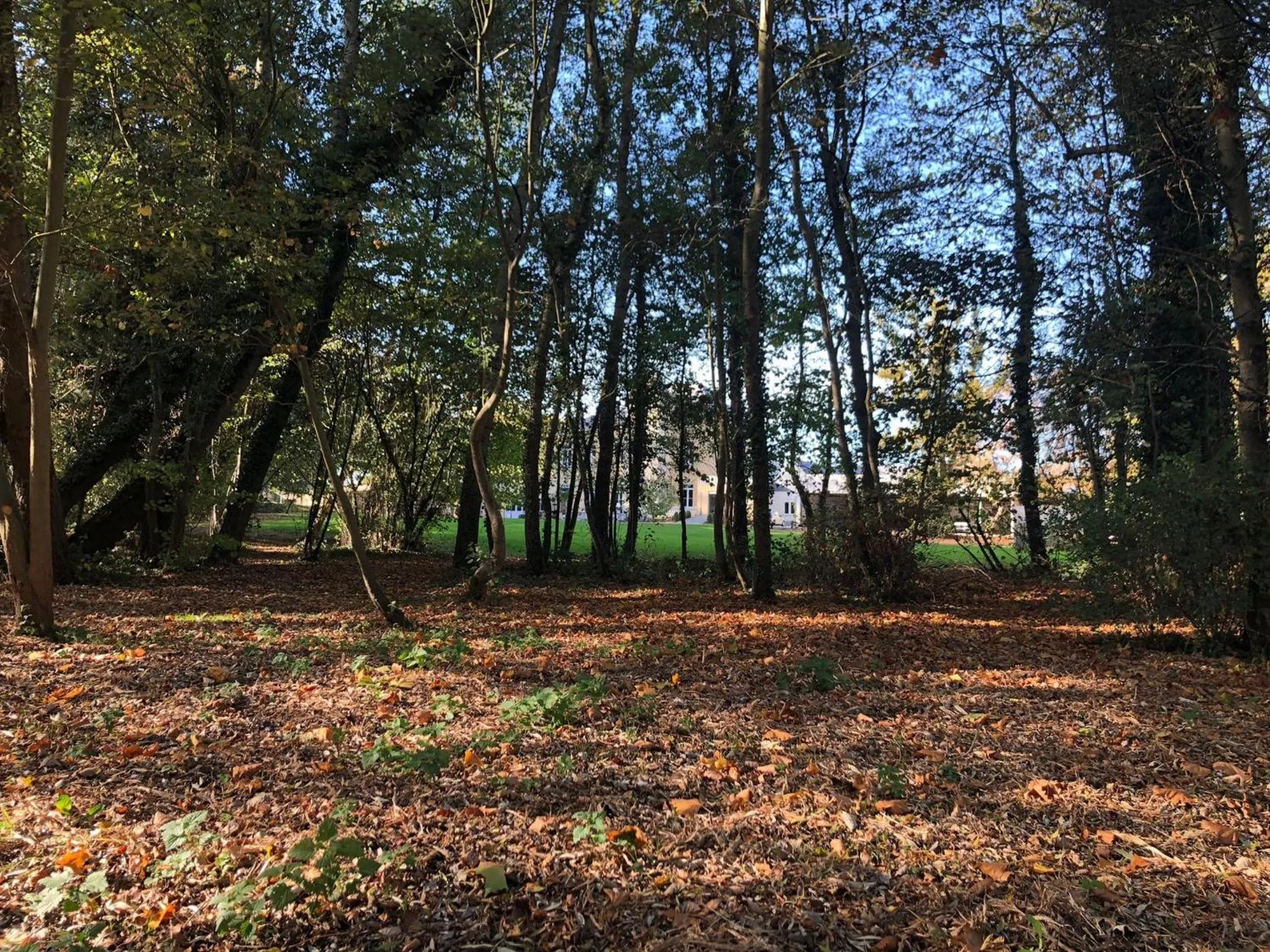 Kasteel B&B Sint-Bartel