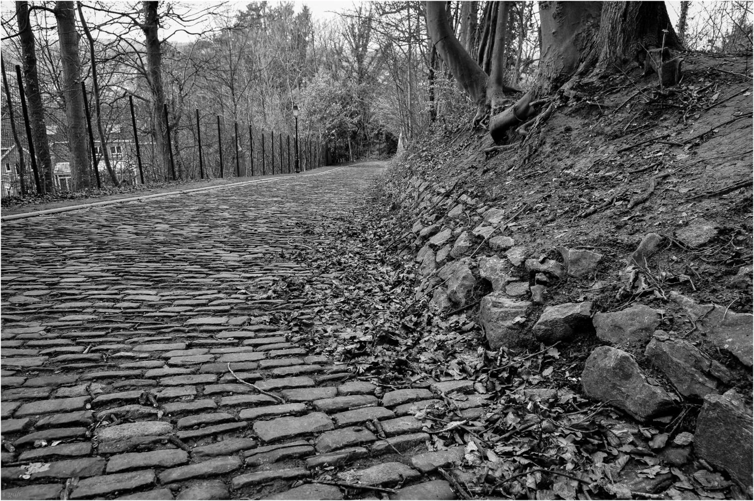 Kasteel B&B Sint-Bartel