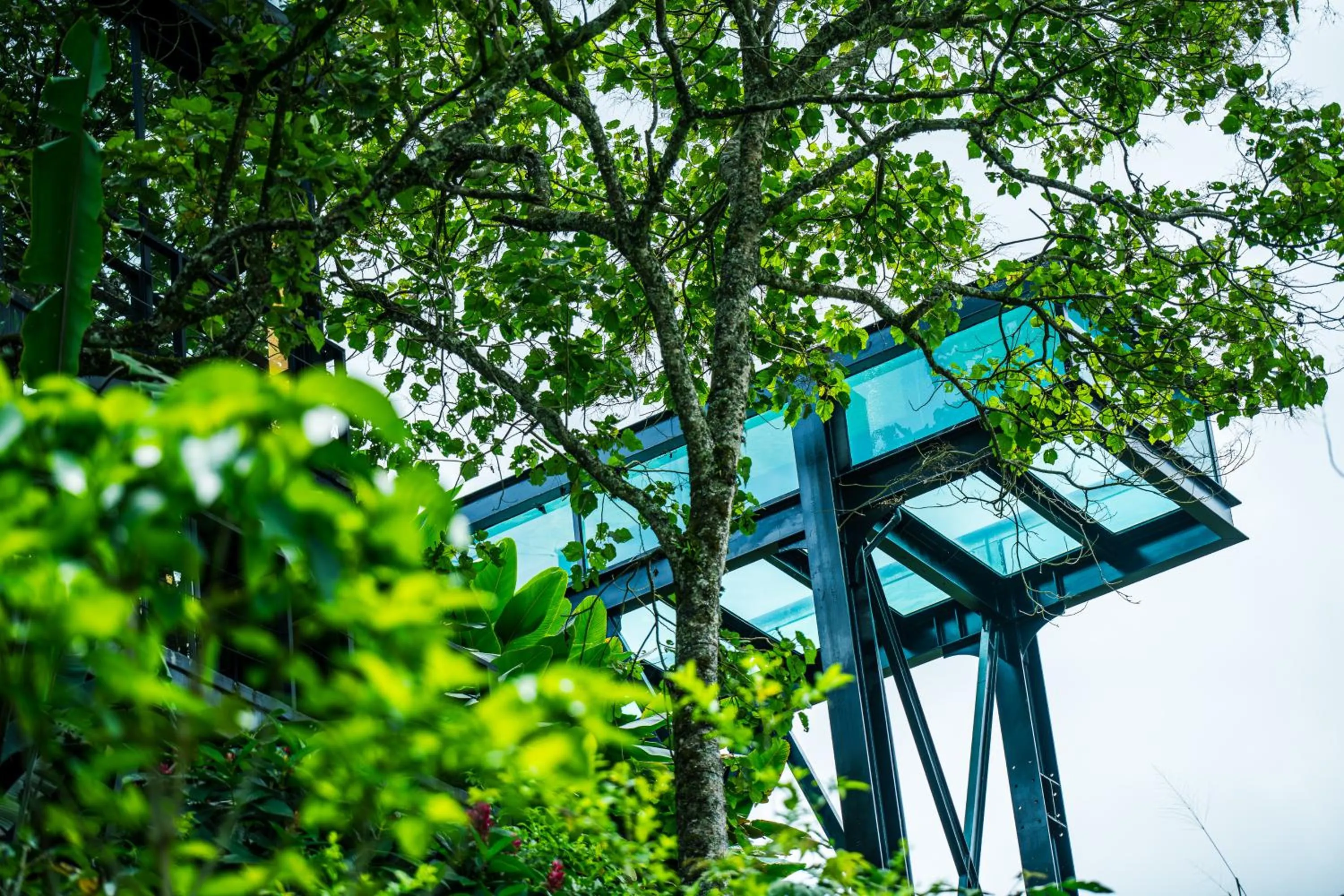 Swimming pool in Bio Habitat Hotel, AKEN SOUL Collection