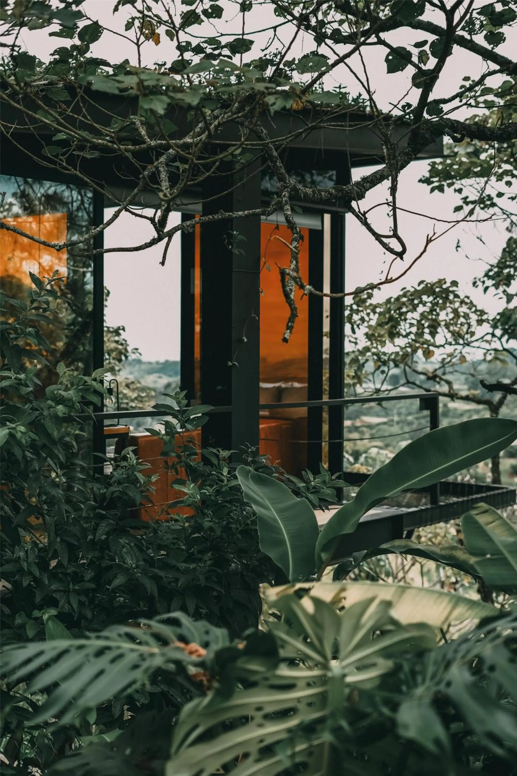 Photo of the whole room in Bio Habitat Hotel, AKEN SOUL Collection