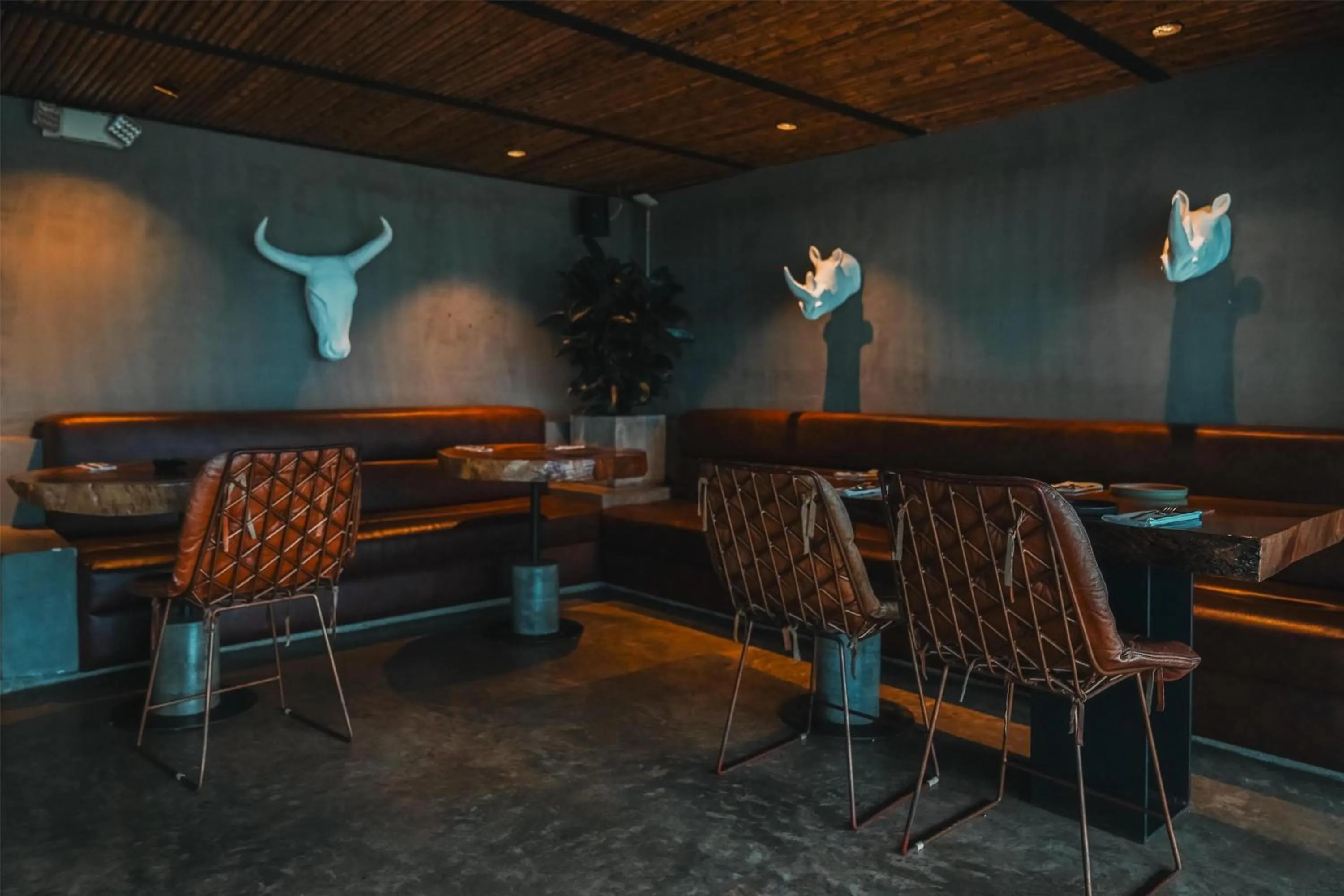 Lobby or reception in Bio Habitat Hotel, AKEN SOUL Collection