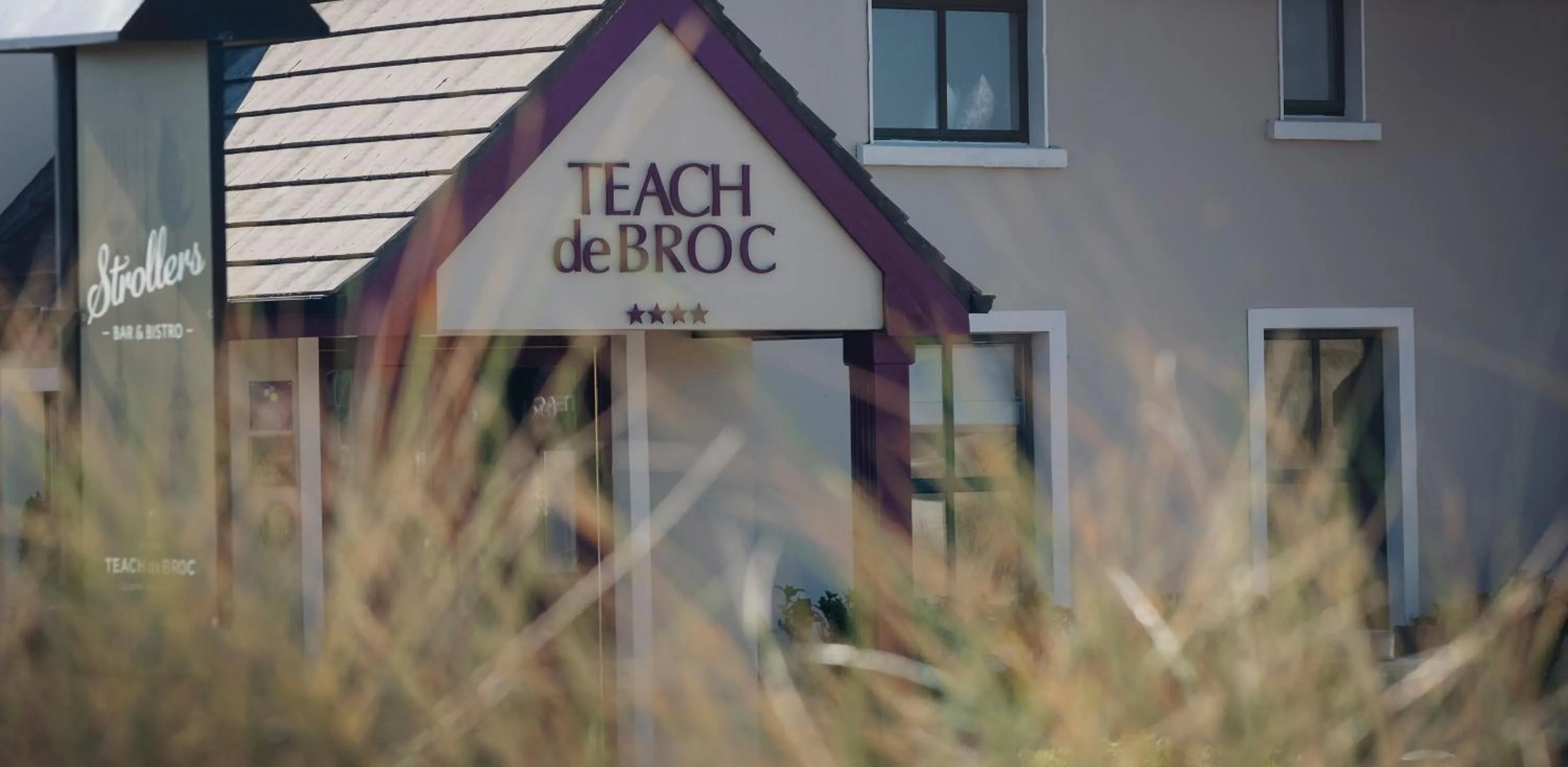 Property building in Teach de Broc