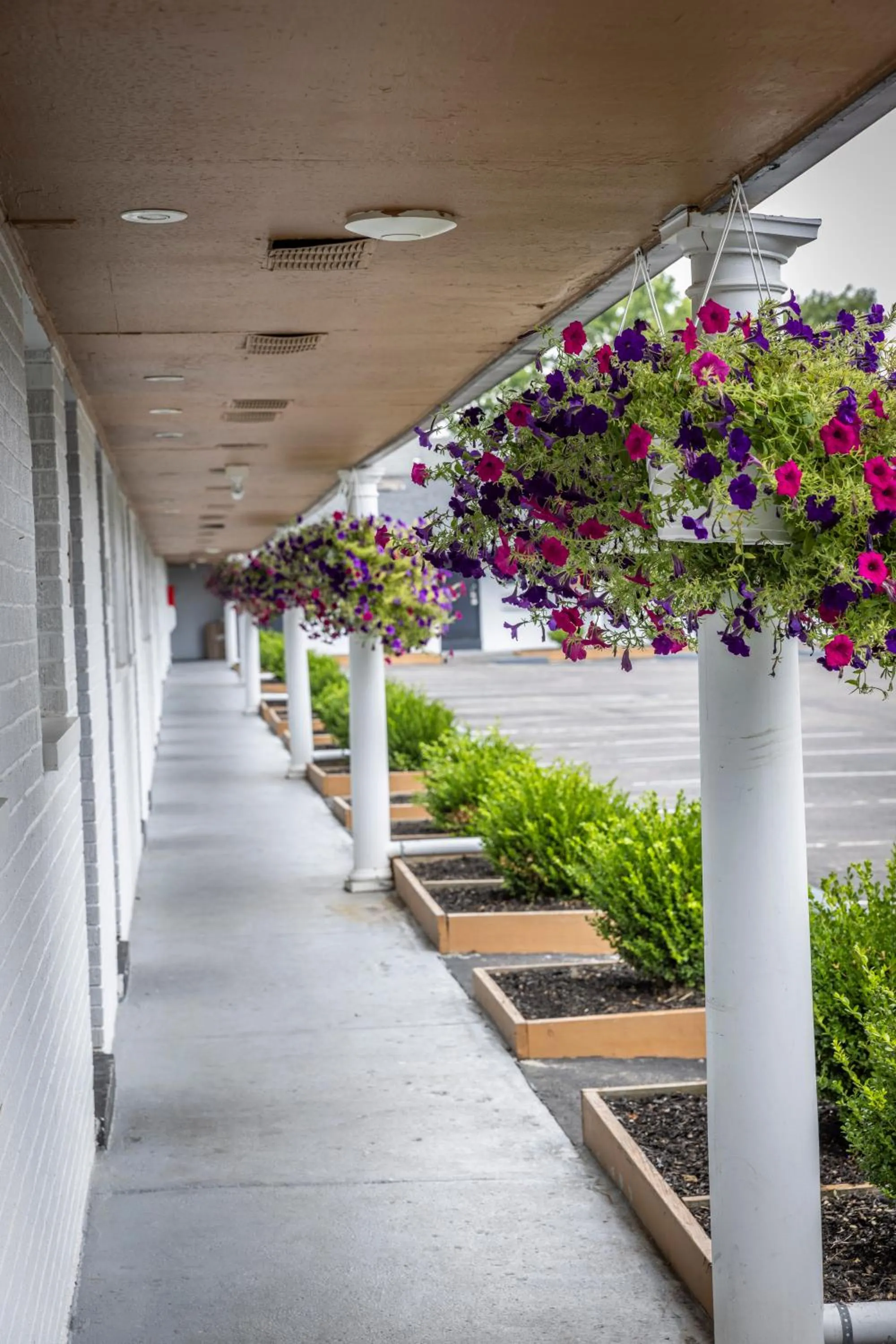 Spring in Butler Inn