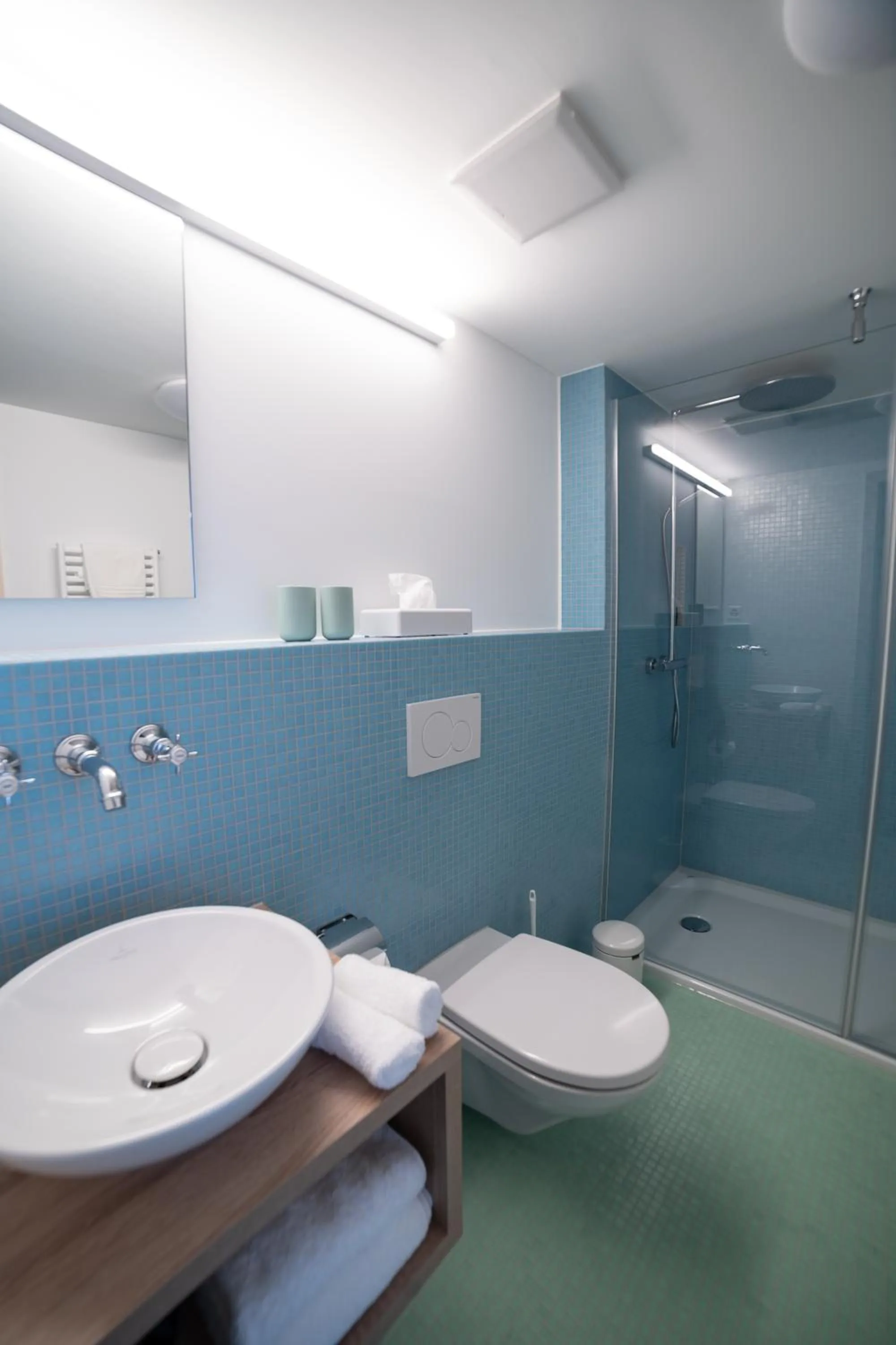 Shower in Gasthaus Friedegg