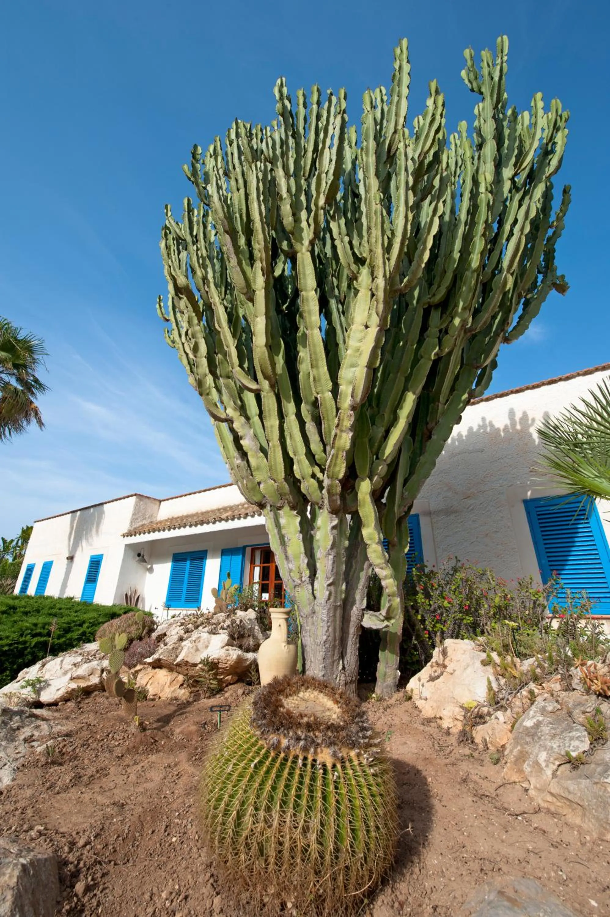 Facade/entrance in Miramare Residence