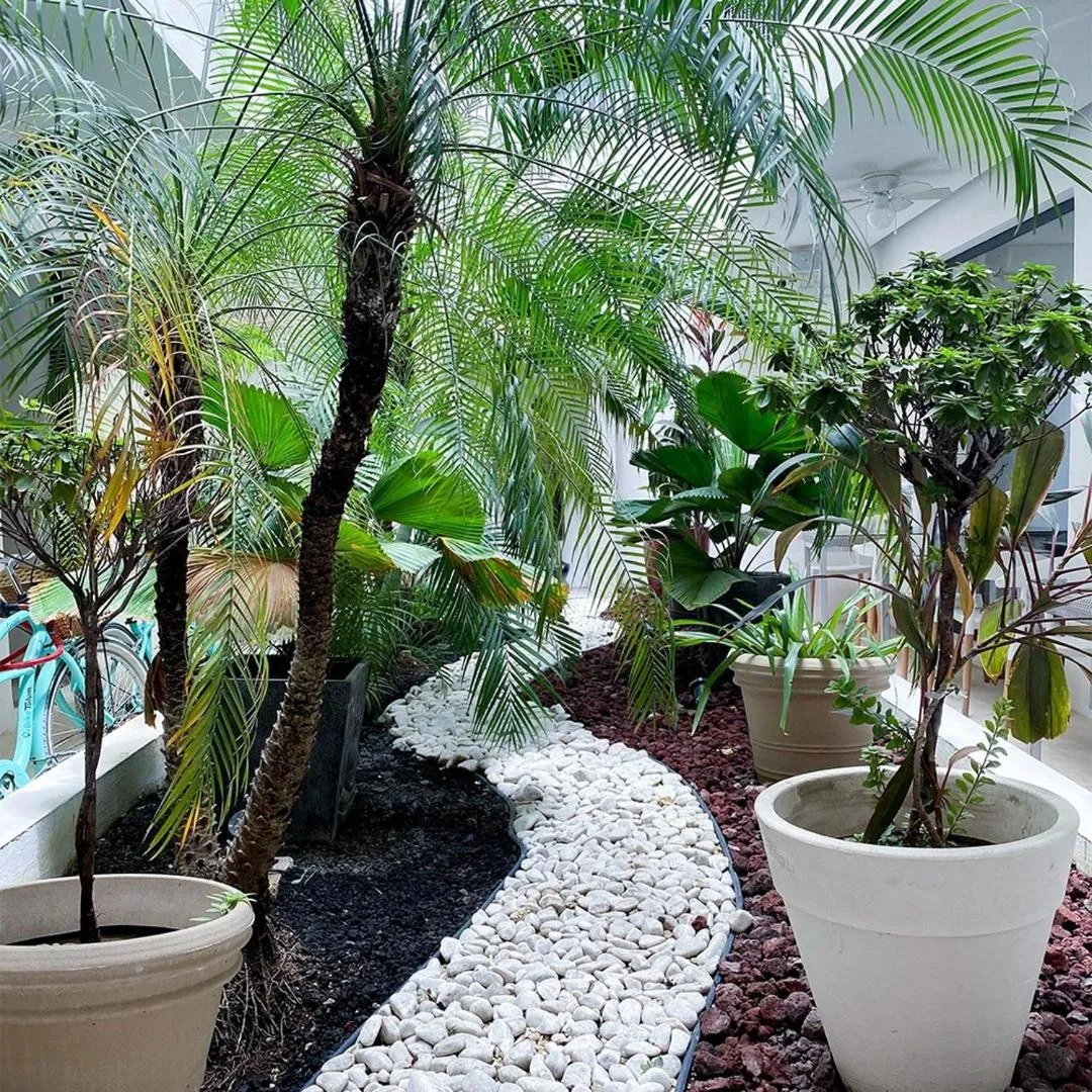 Garden in Hotel Zendero Tulum