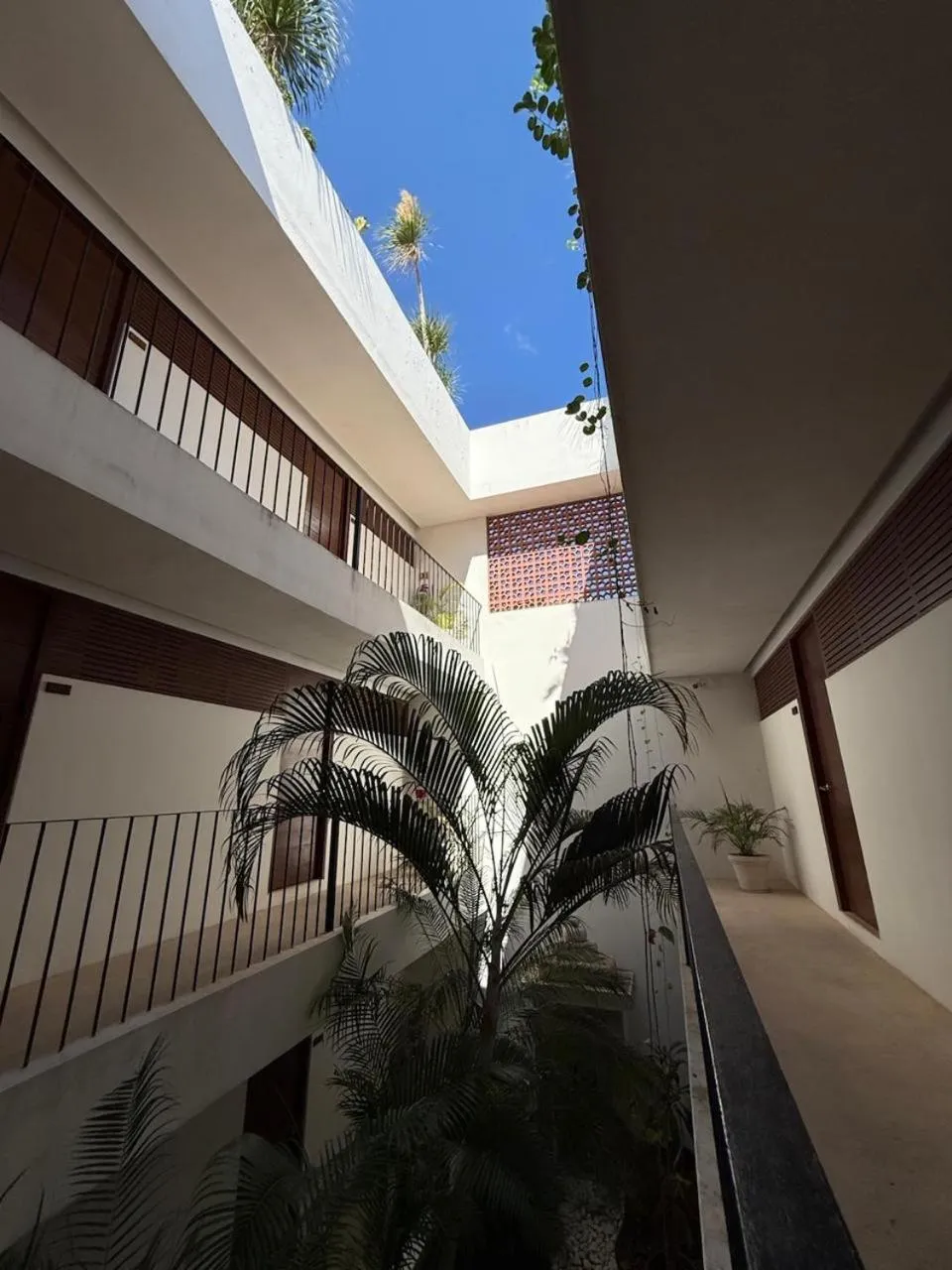 Garden in Hotel Zendero Tulum