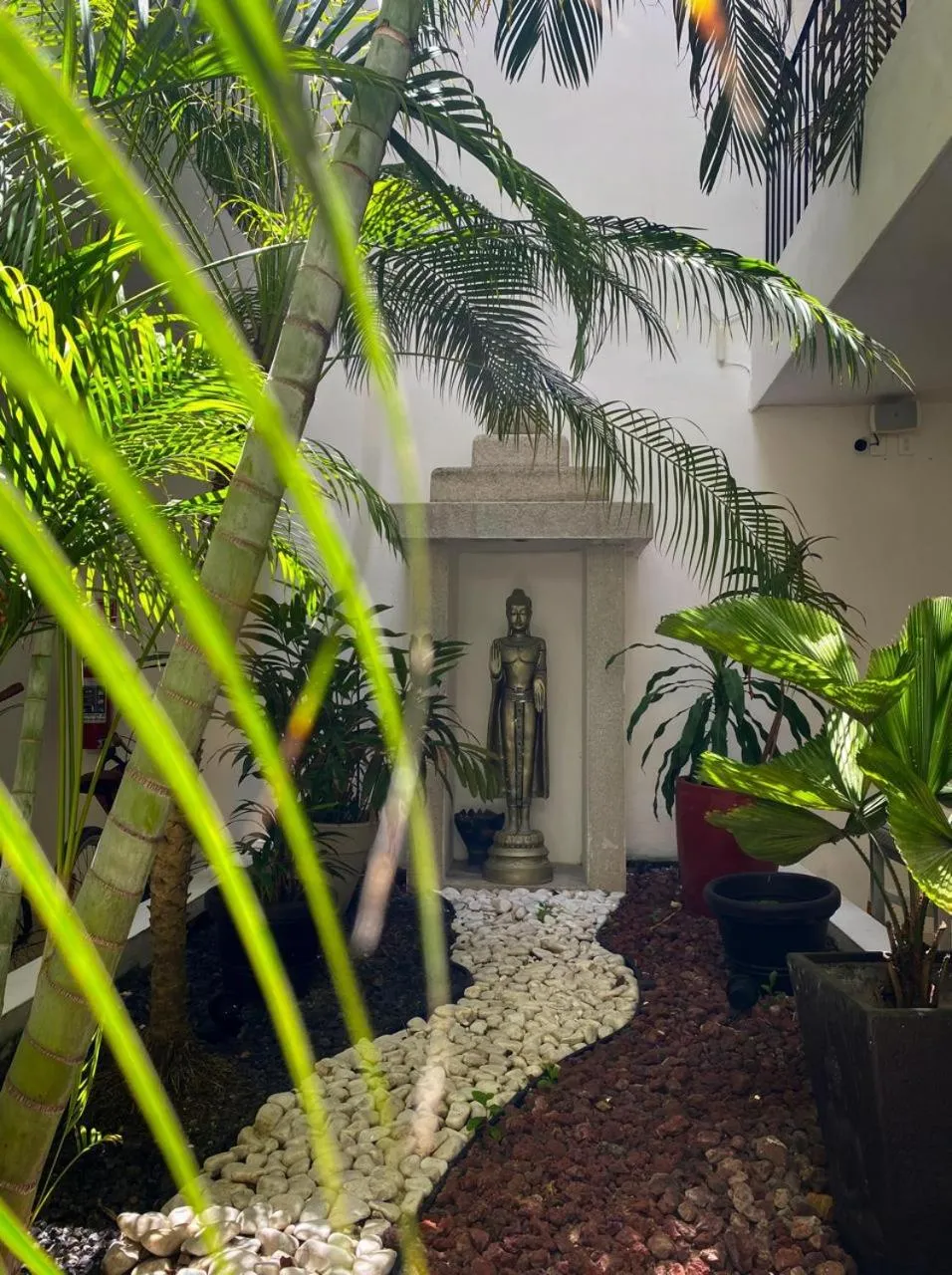 Spring in Hotel Zendero Tulum