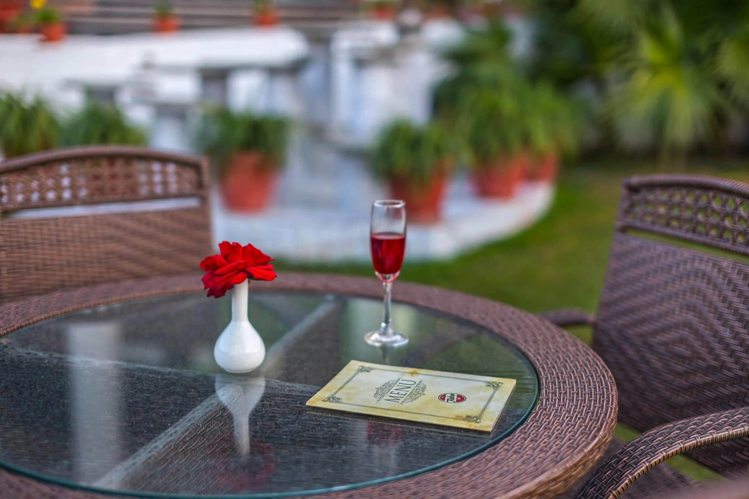 Garden in Pride Premier Solitaire