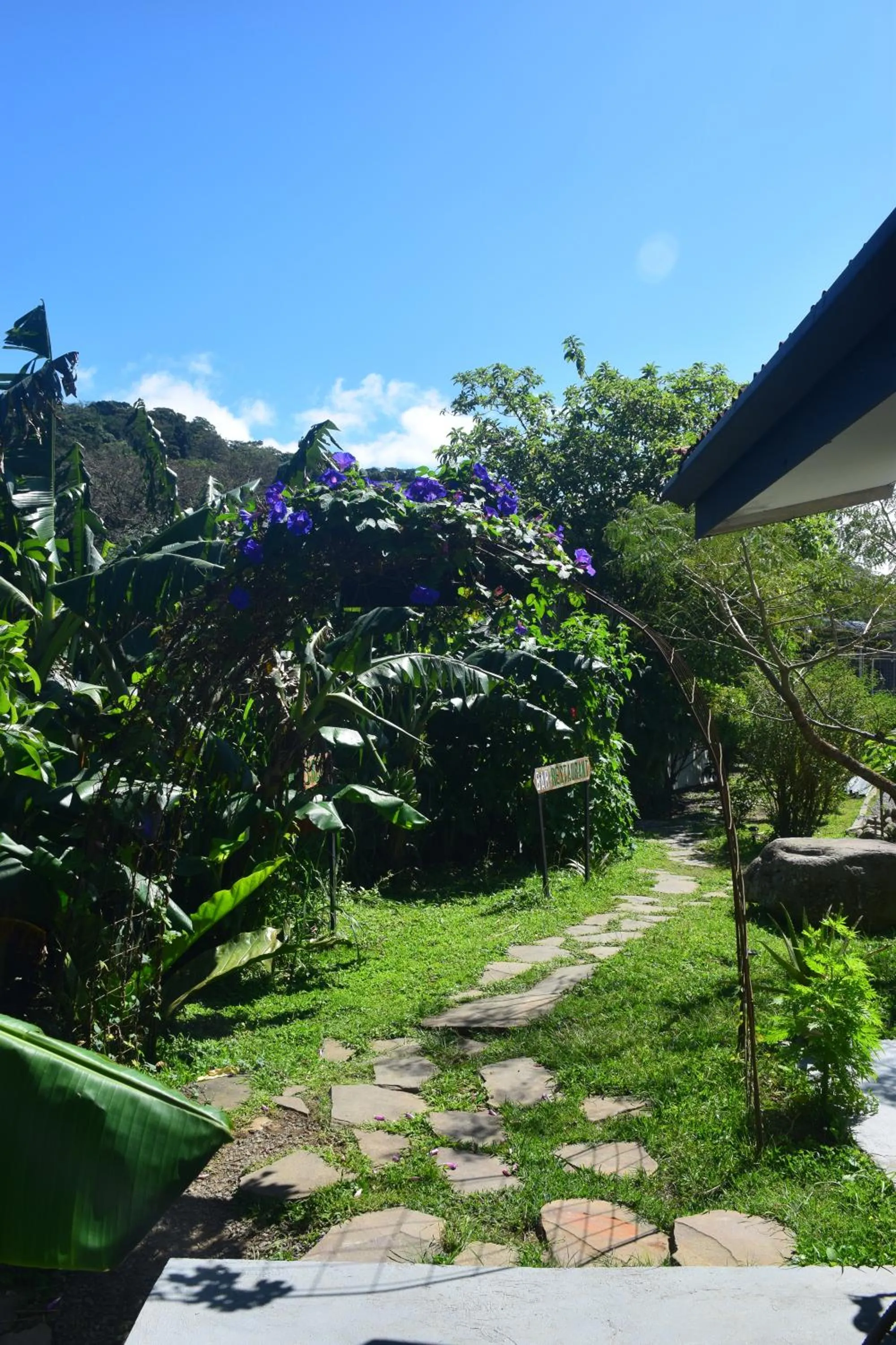 Garden in OutBox Inn