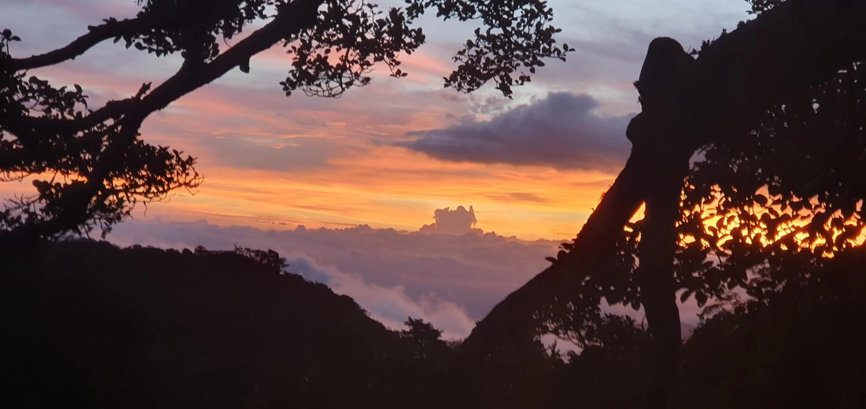Natural landscape in OutBox Inn