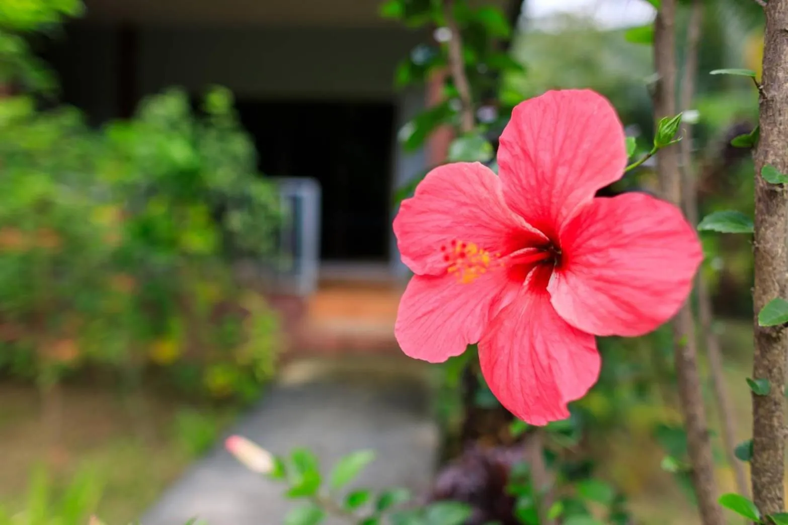 Garden in Bang Po Garden