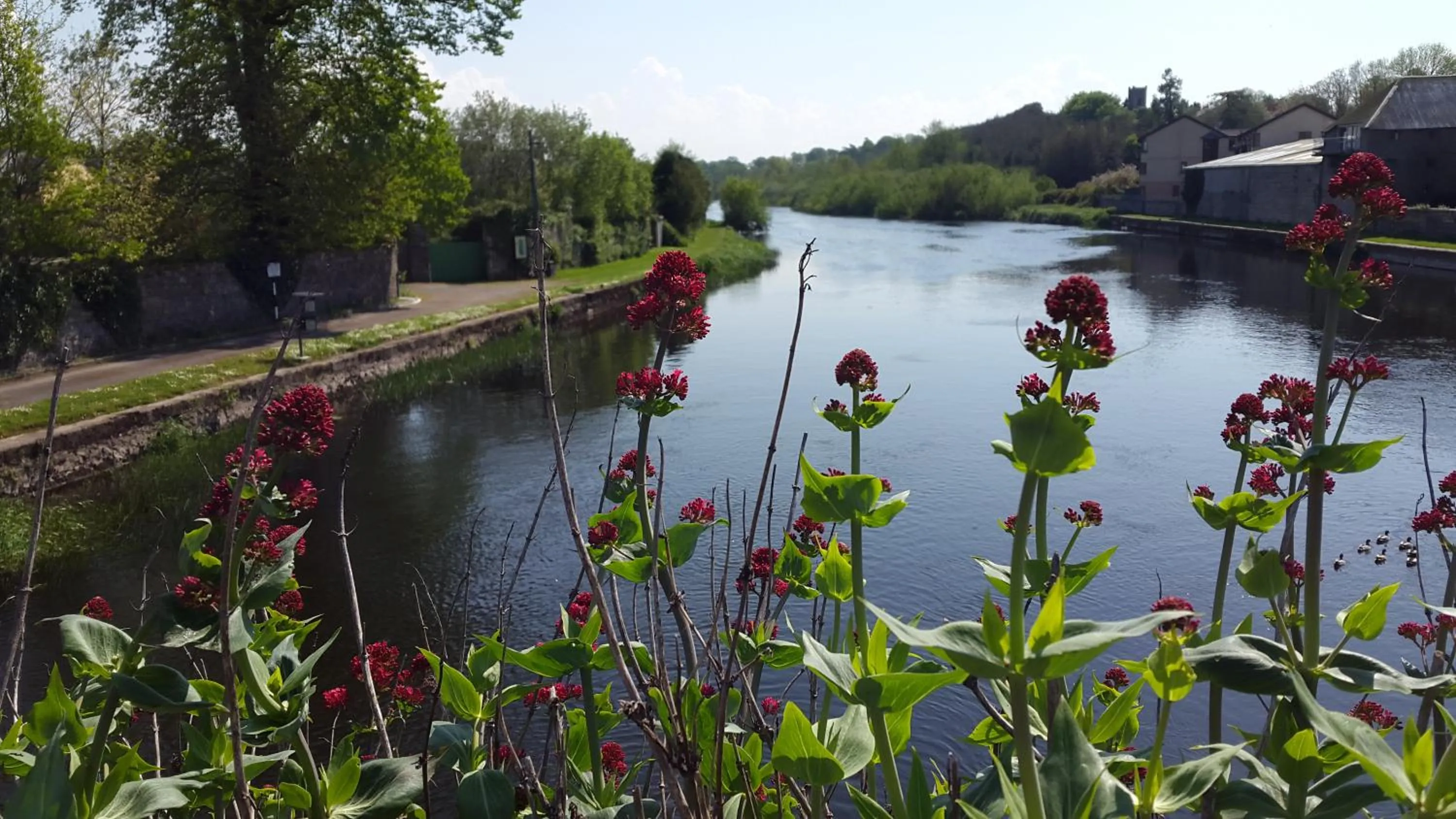 Neighbourhood in Lord Bagenal Inn