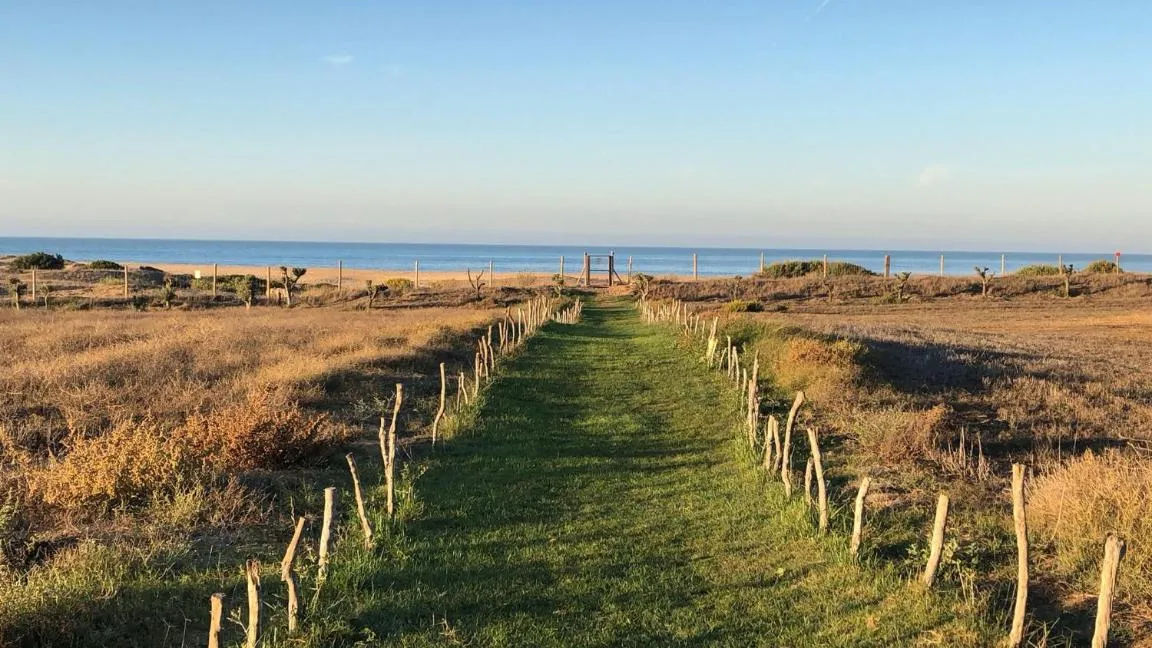 Beach in Trafalgar Polo Club