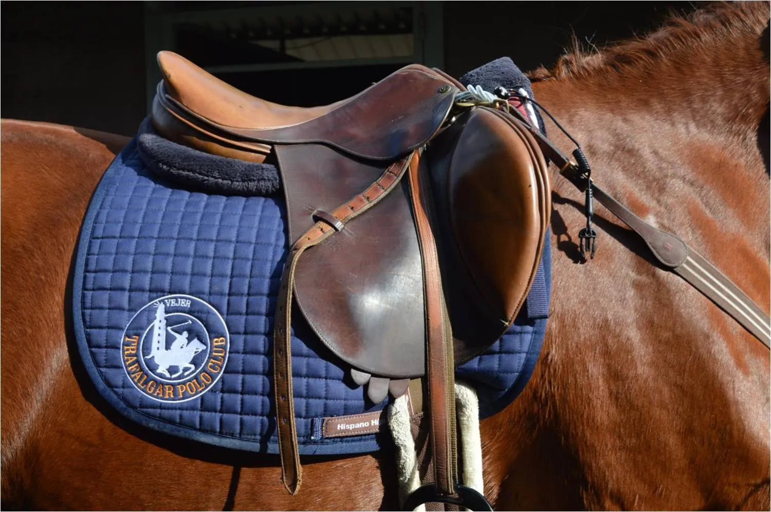 Activities in Trafalgar Polo Club