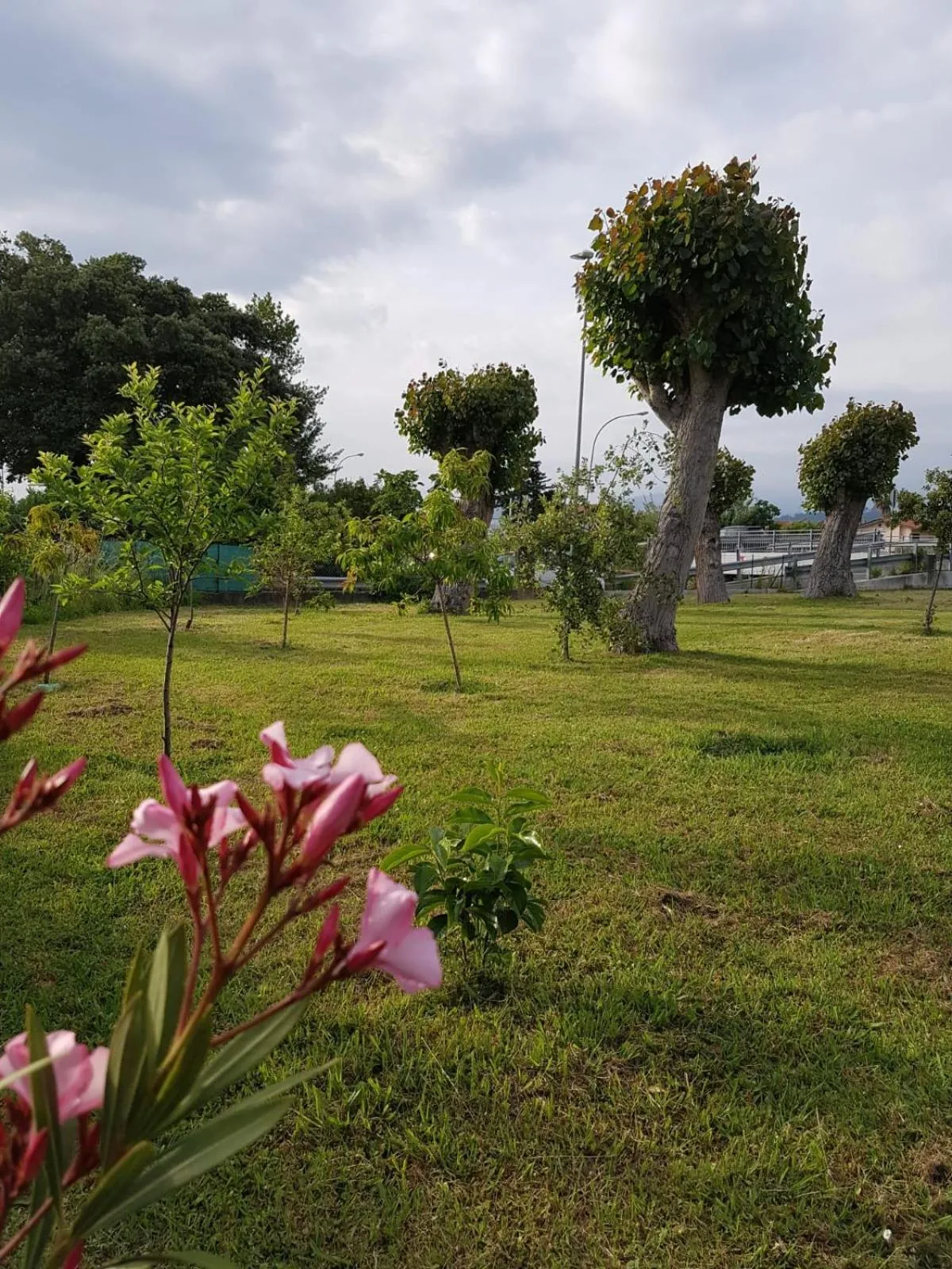 Summer in Hotel Patrizia