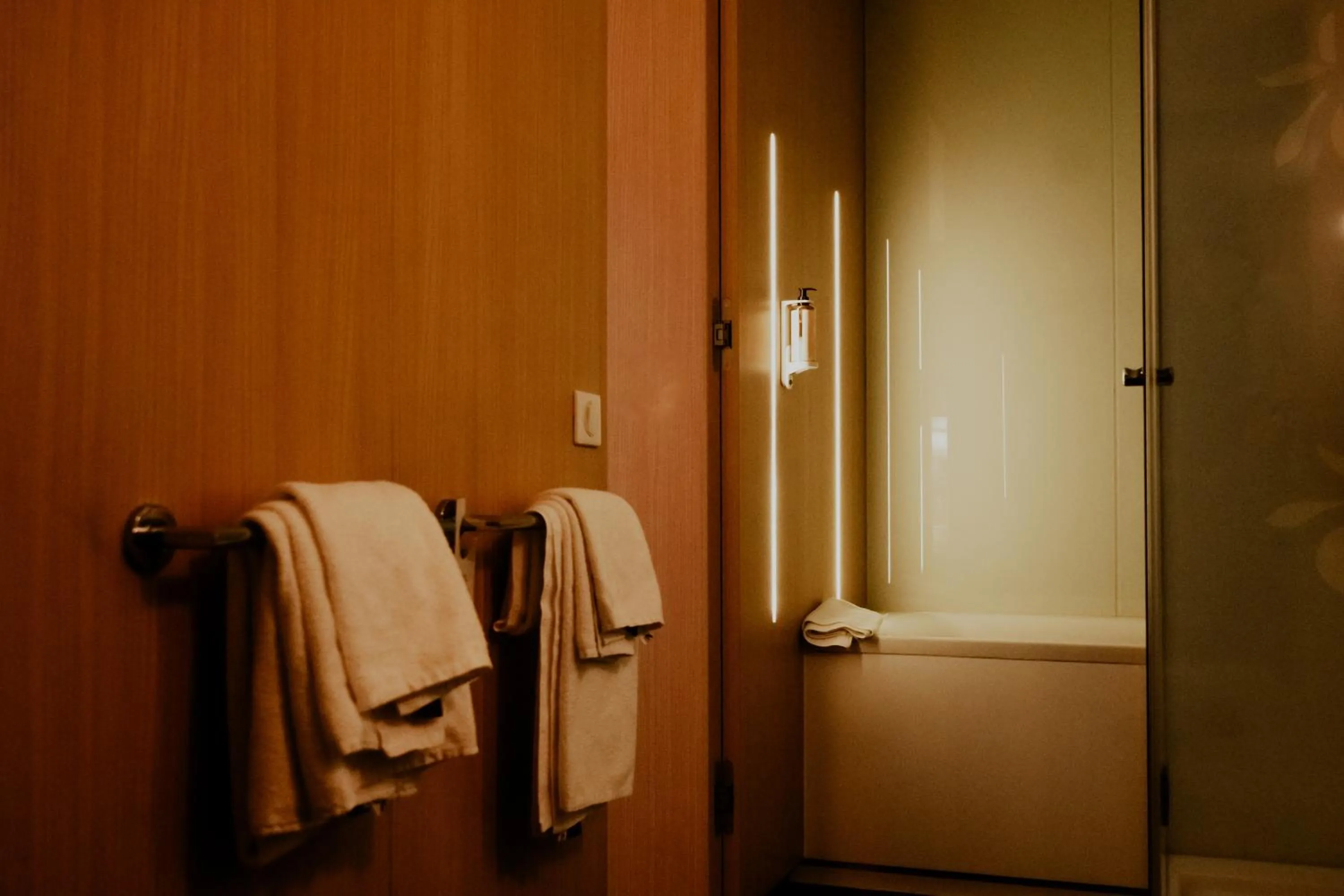 Shower in Mercure Valenciennes Centre