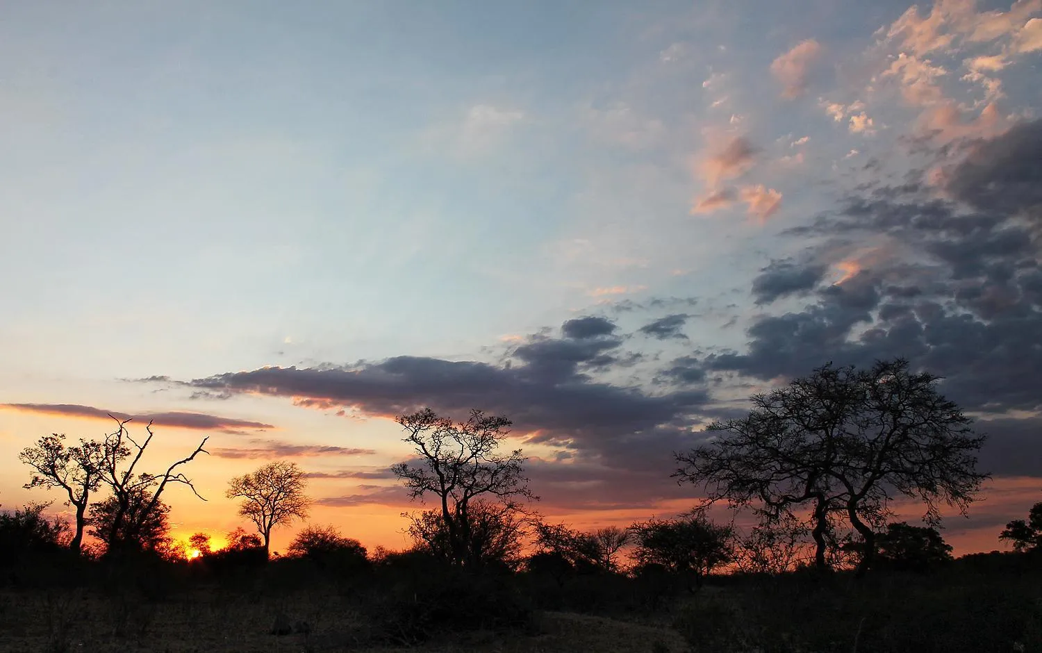 Natural landscape in Klaserie Drift Misava