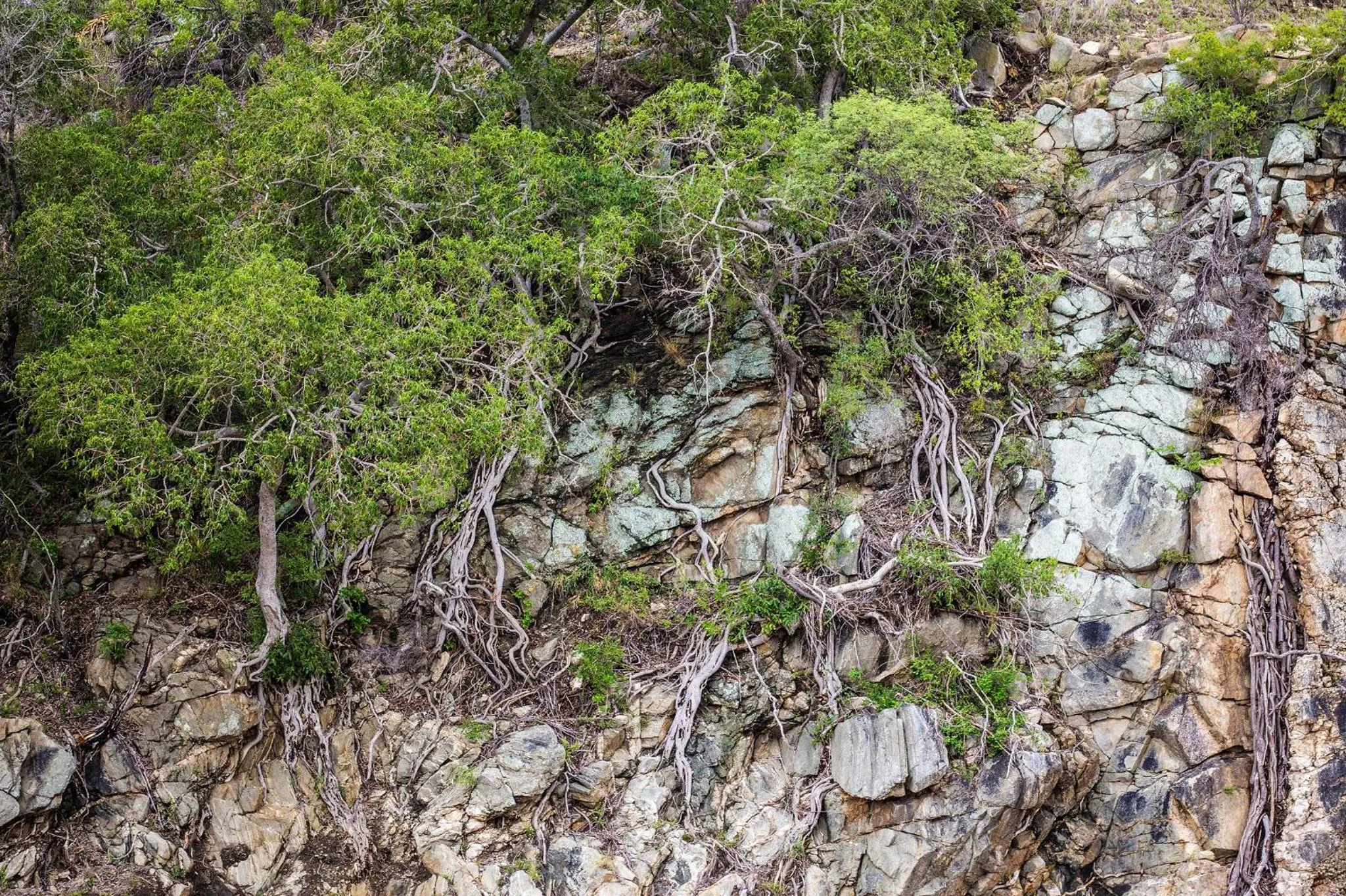 Natural landscape in Klaserie Drift Misava