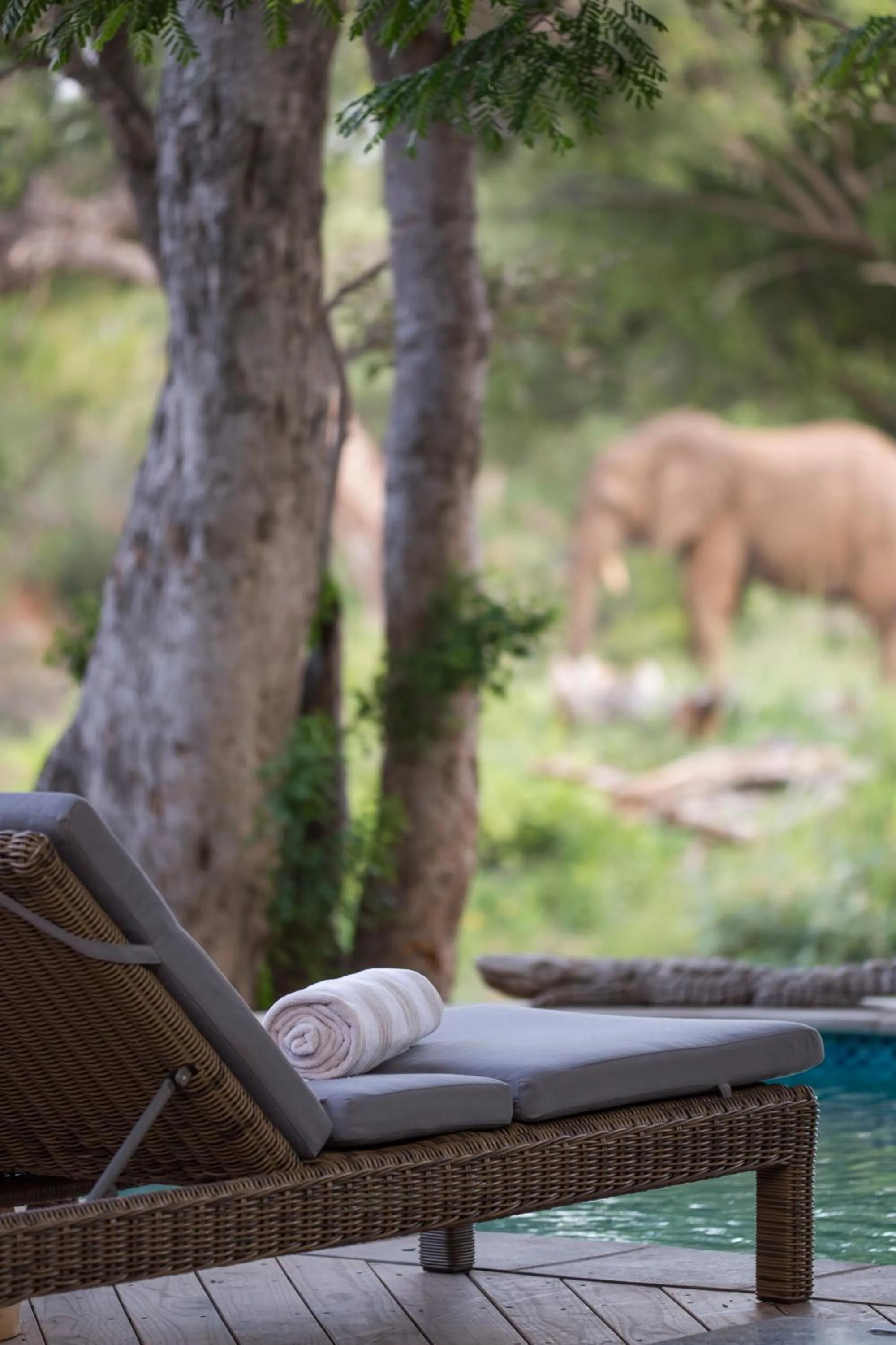 Balcony/Terrace in Klaserie Drift Misava