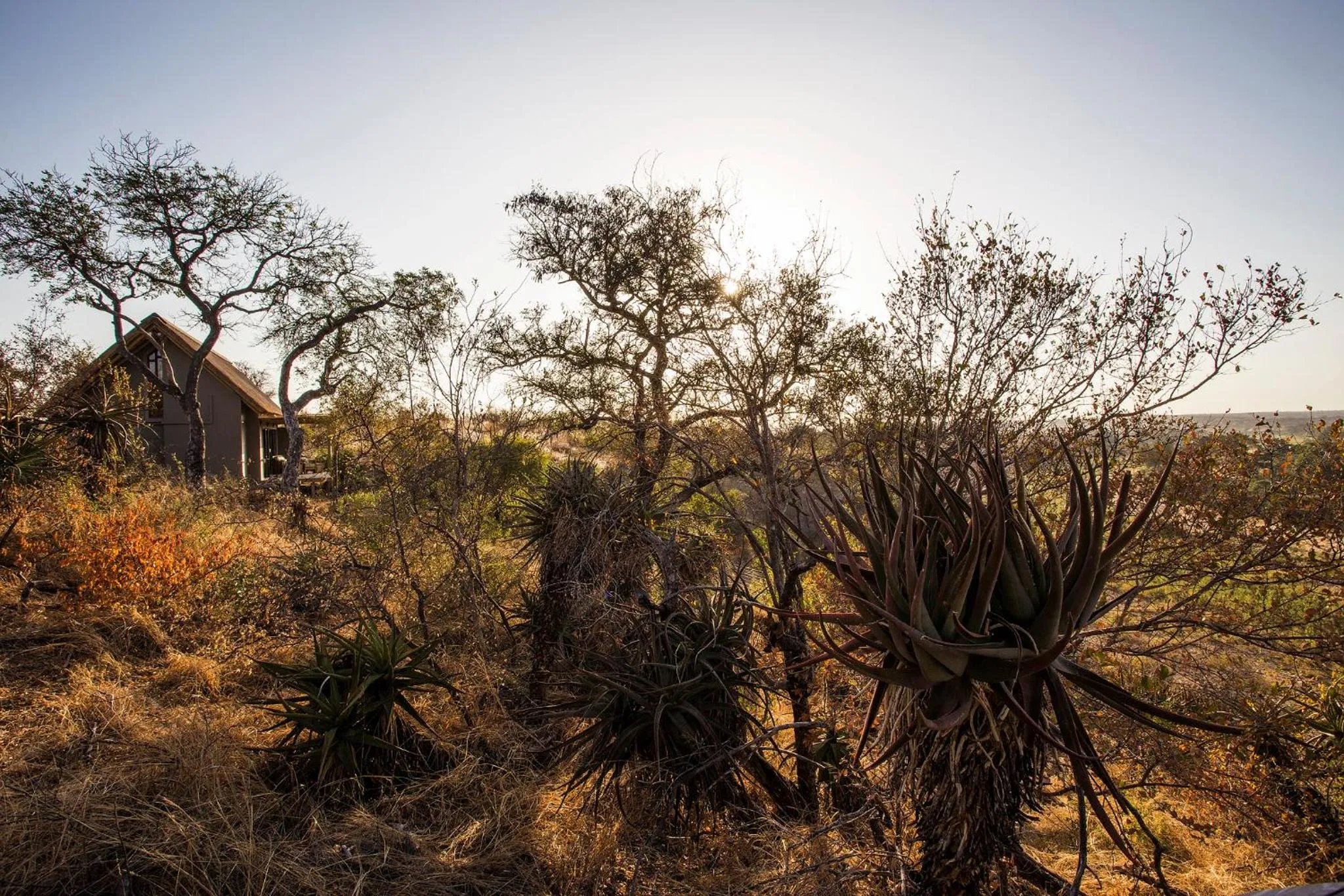 River view in Klaserie Drift Misava