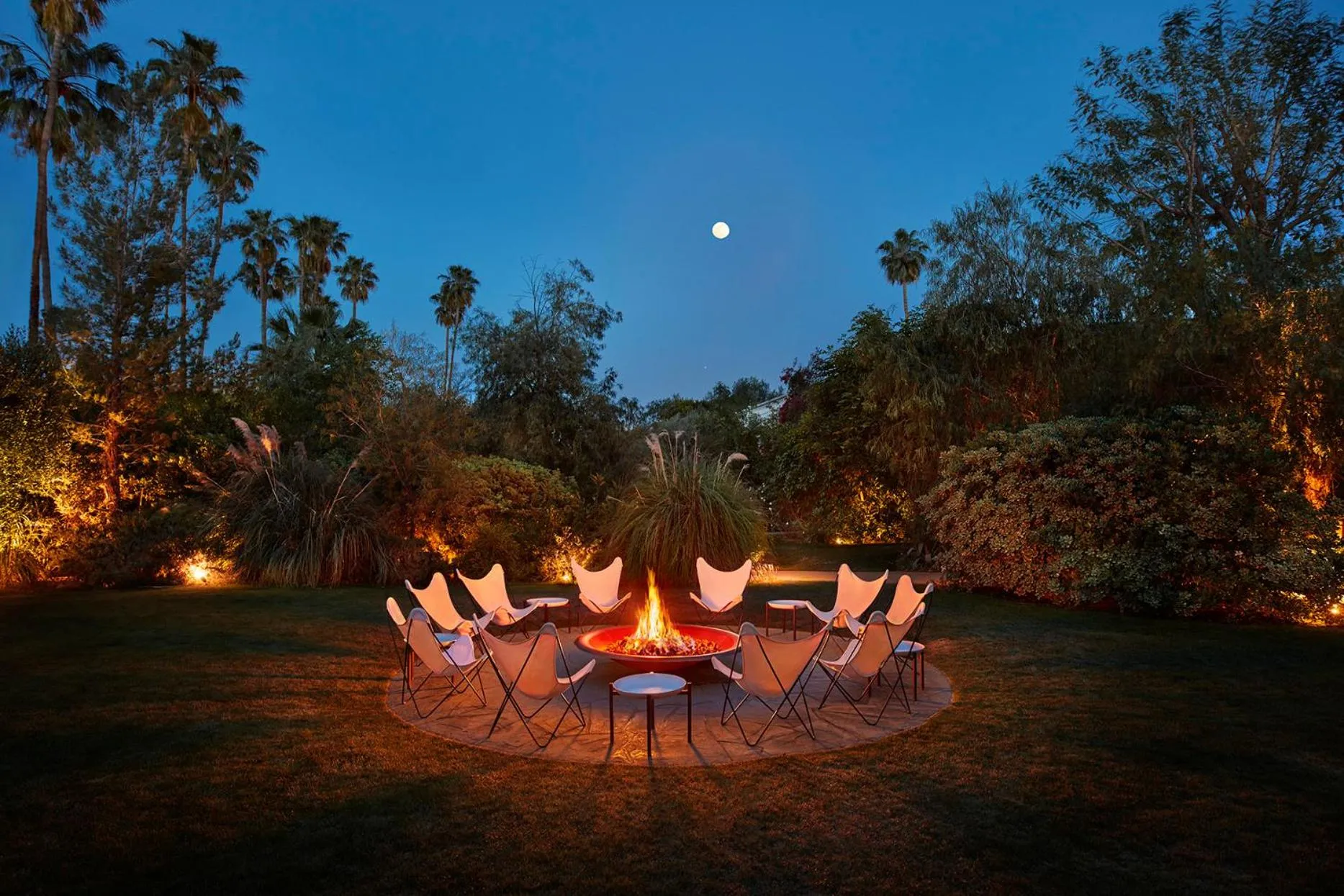 Garden in Parker Palm Springs