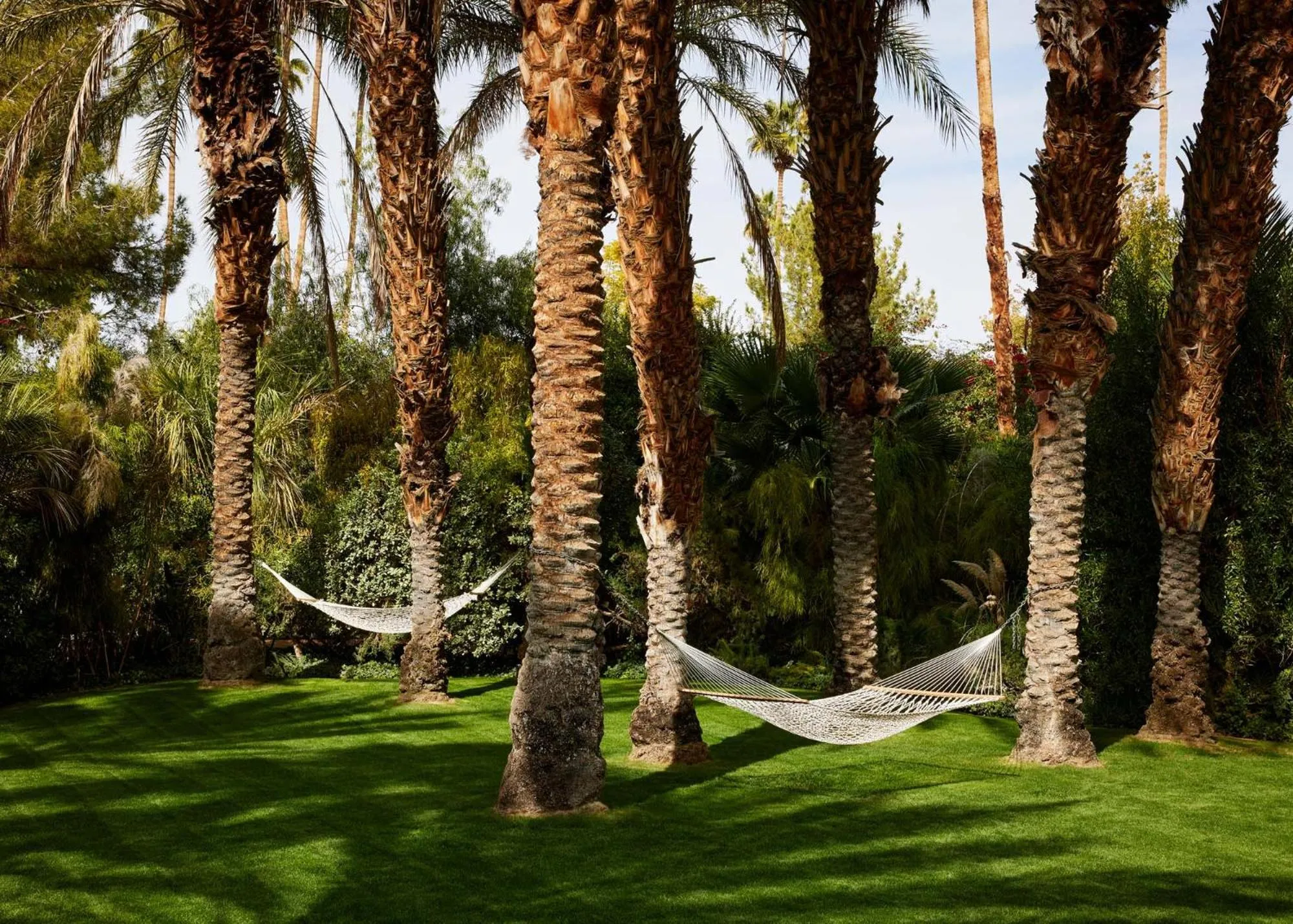 Garden in Parker Palm Springs