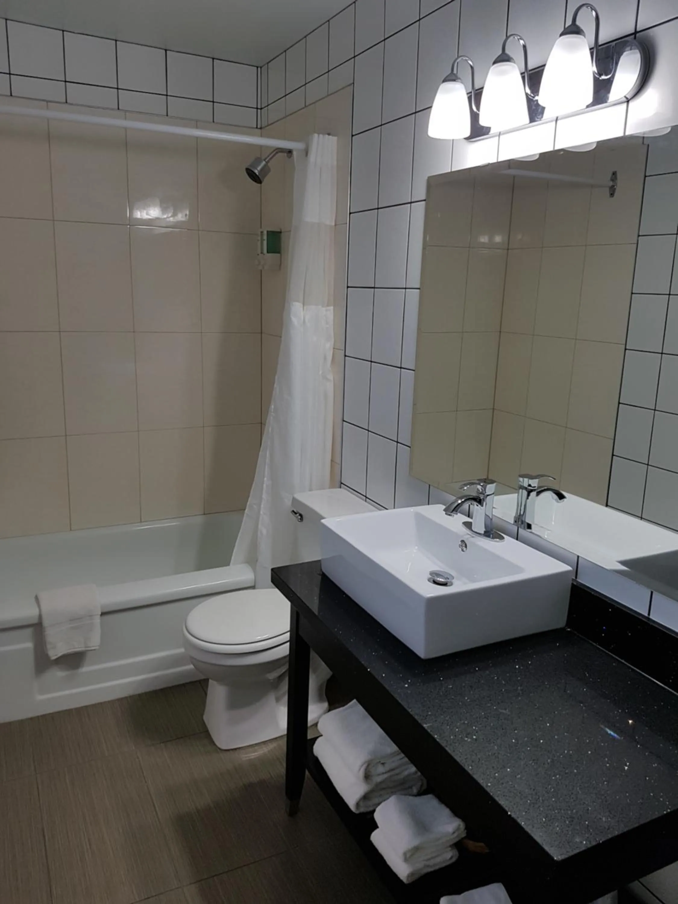 Shower in Alpine Inn & Suites