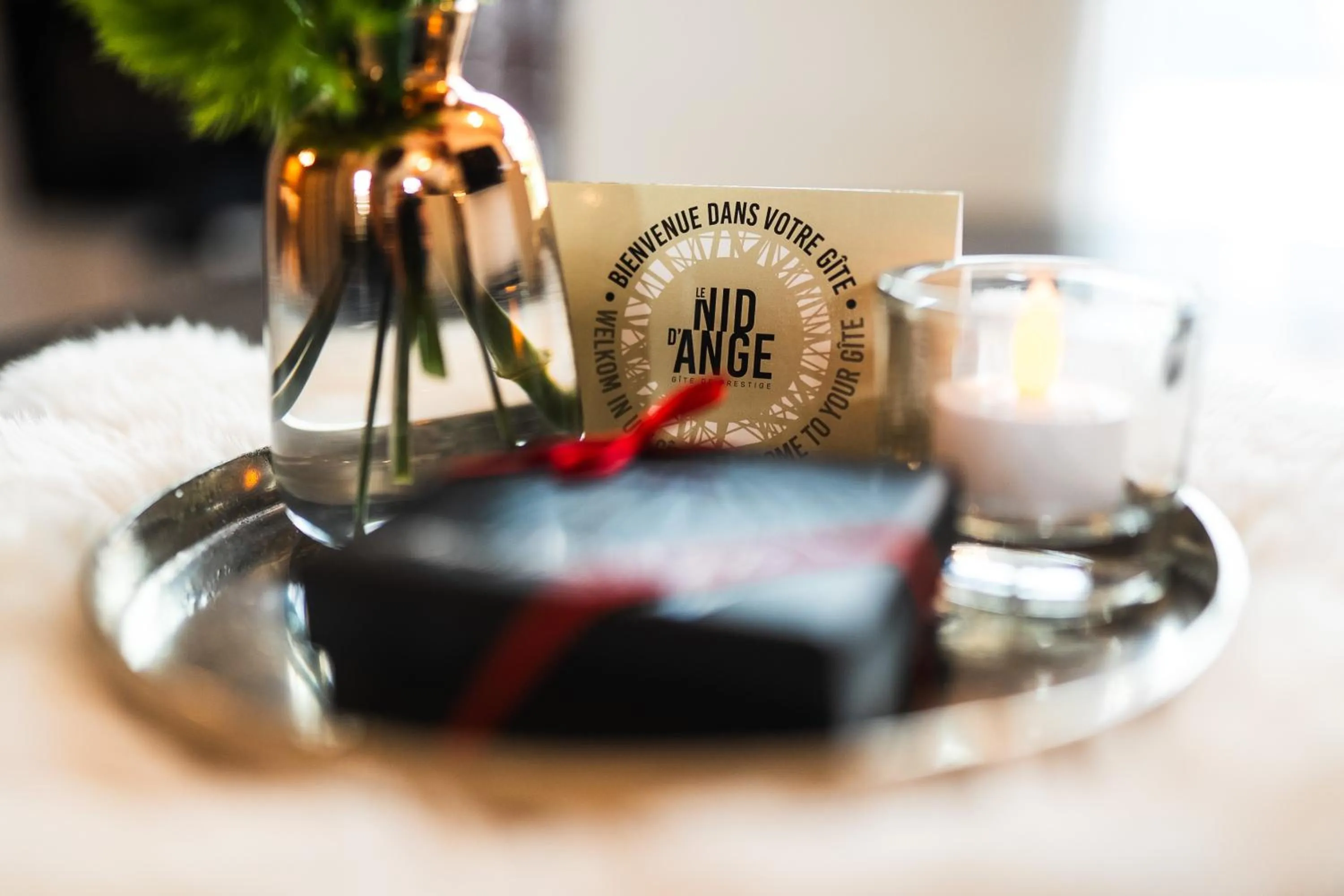 Decorative detail in Le Nid d'Ange