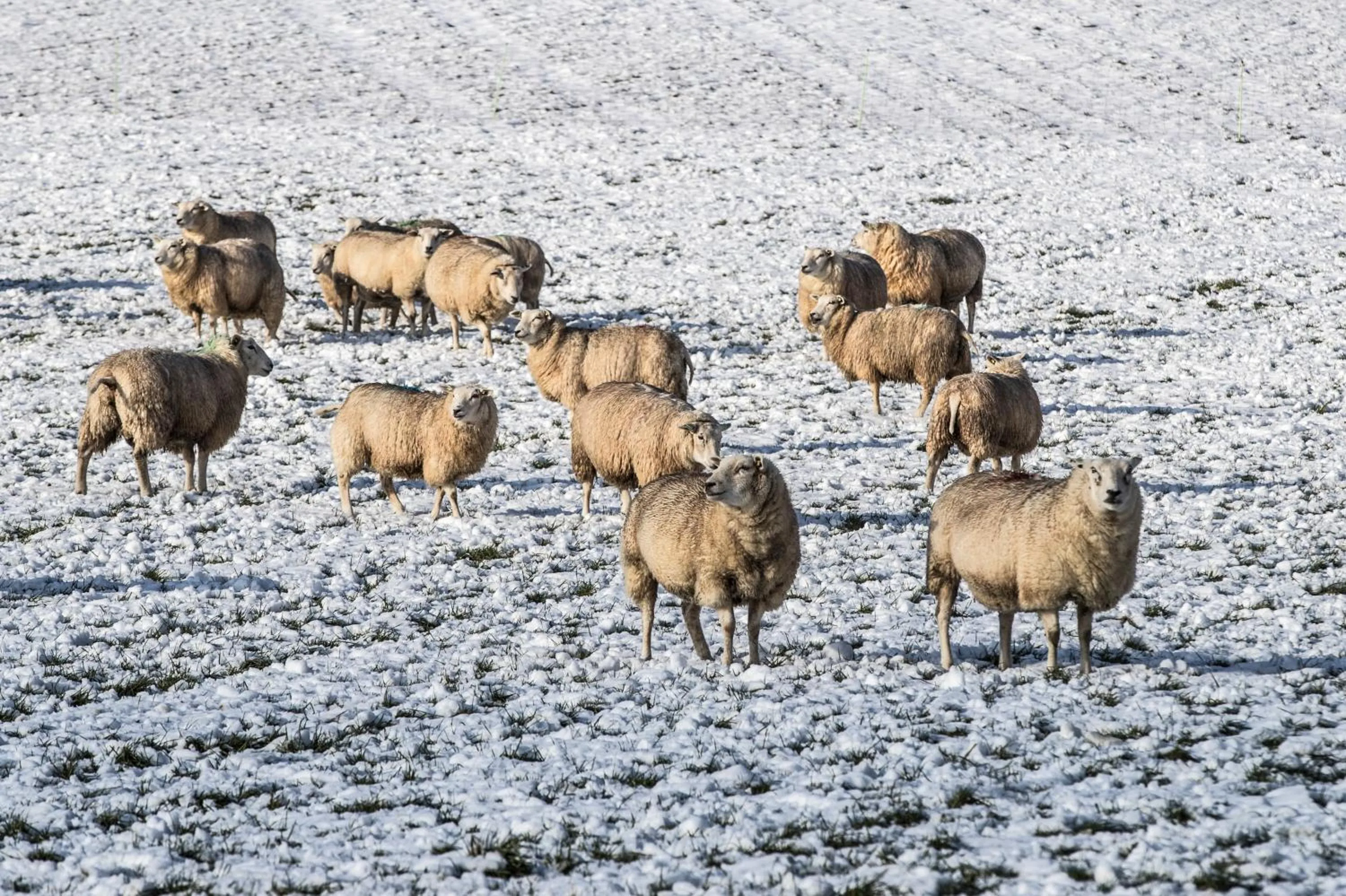 Hiking in Hotel Valkenburg by Mercure - Next to Shimano Experience Center